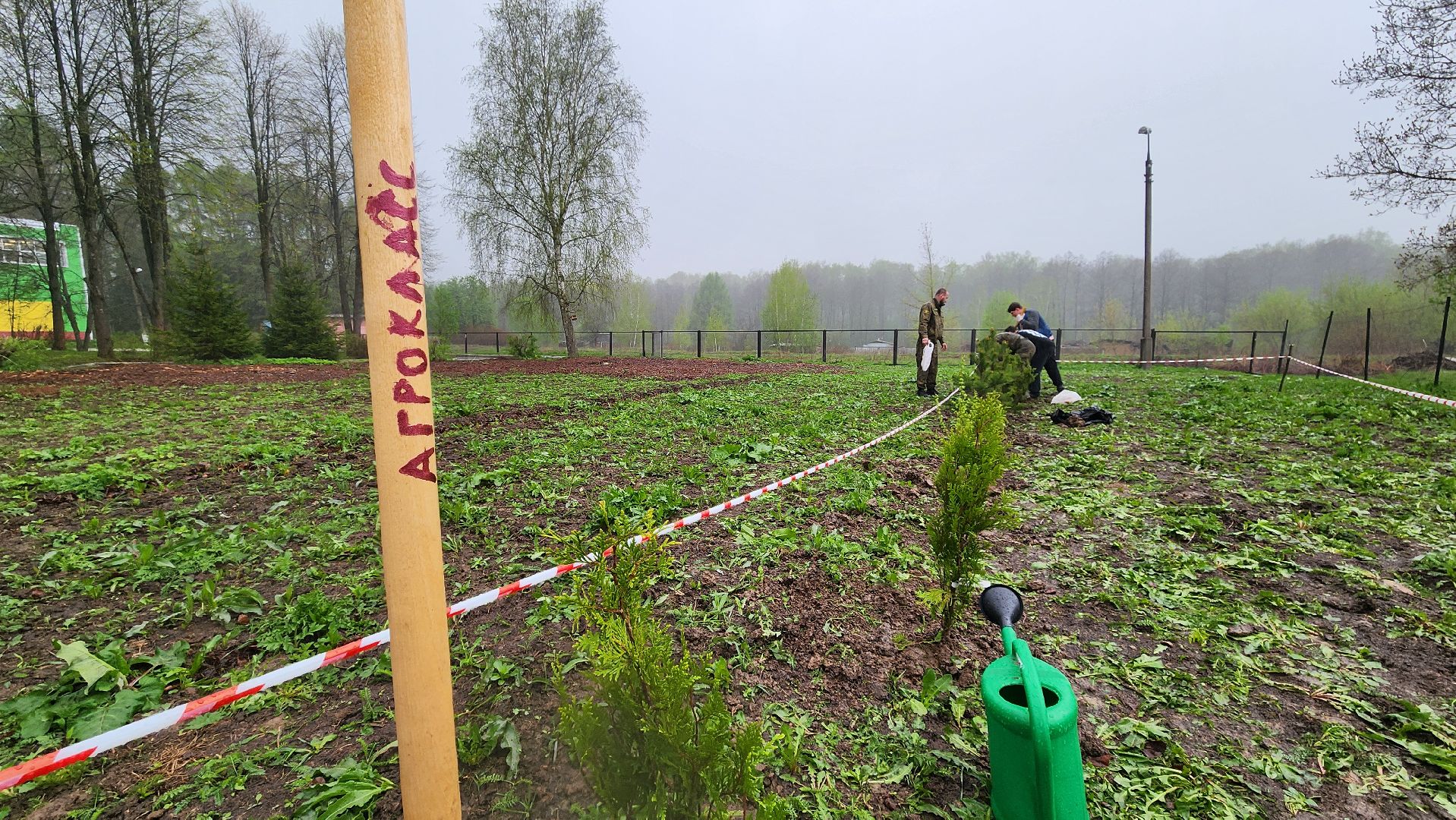 ступино, агрошкола ступино, образование подмосковья, Дендрарий,