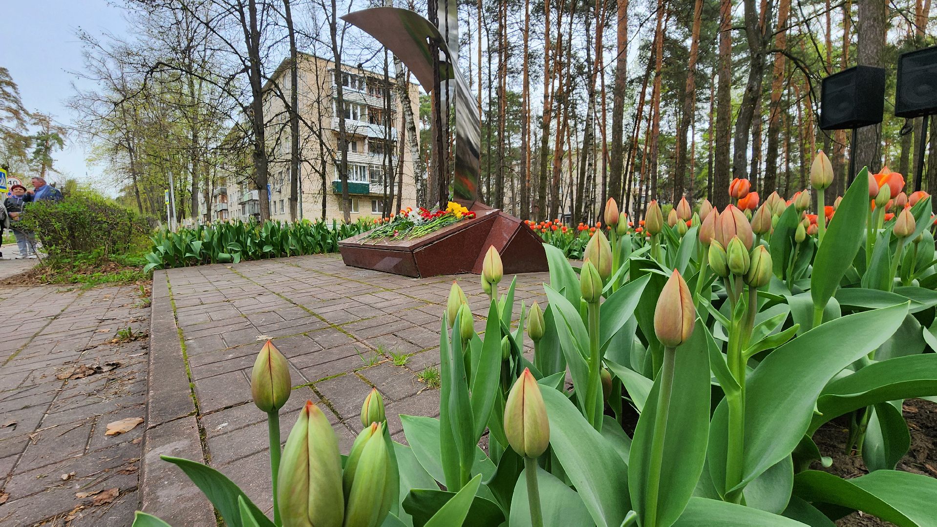 чернобыльская АС, ликвидаторы, протвино, митинг, сломанные крылья,