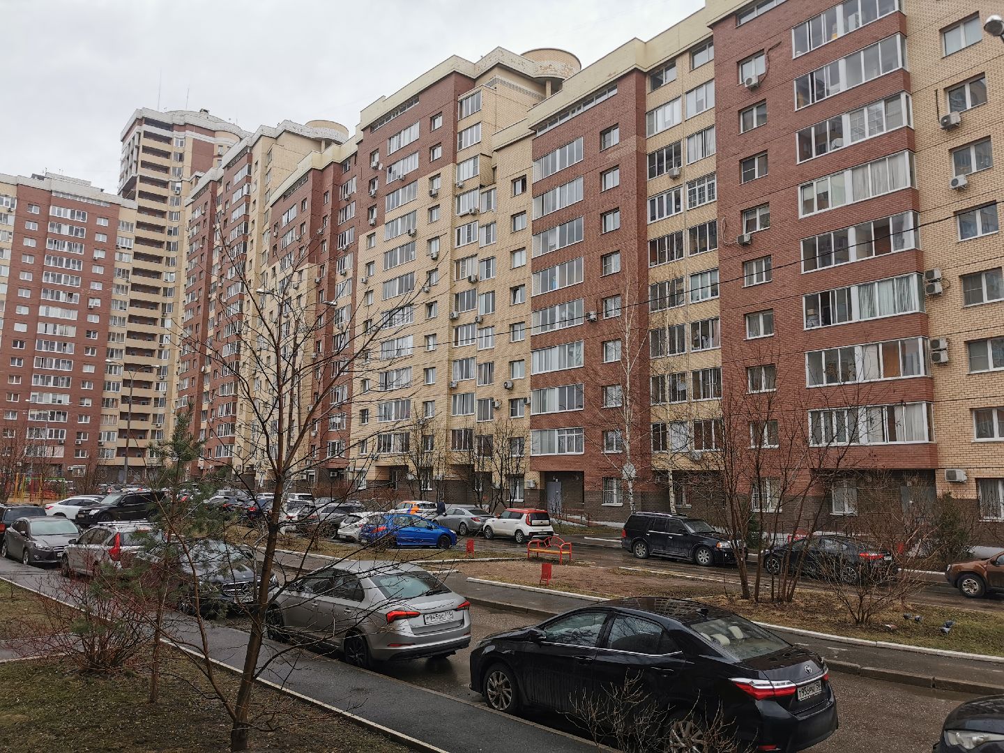 Крокусы, природа, первоцветы