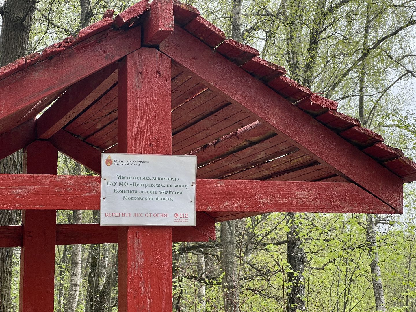 химки, отдых в лесах, пожарная безопасность,