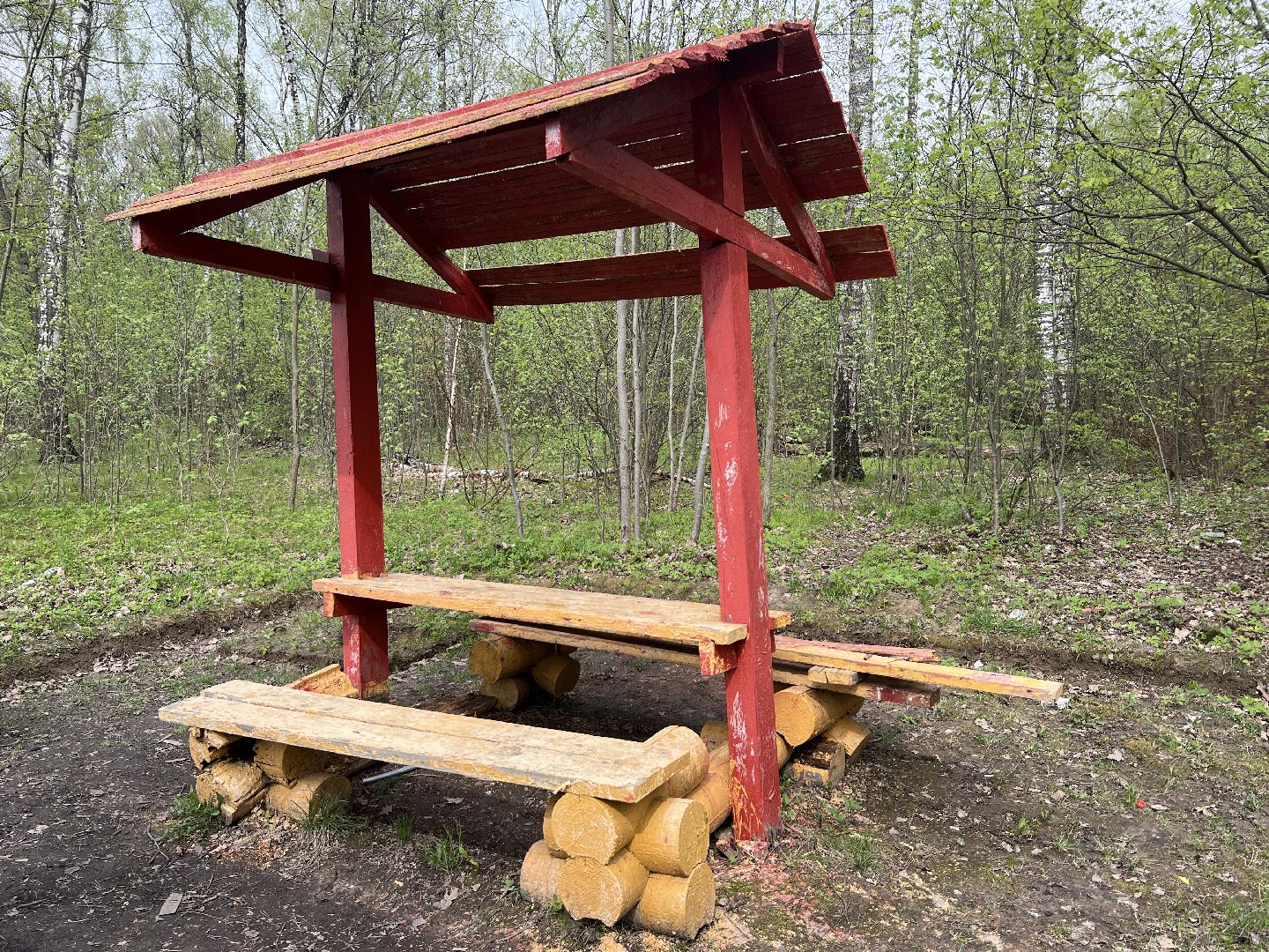 химки, отдых в лесах, пожарная безопасность,