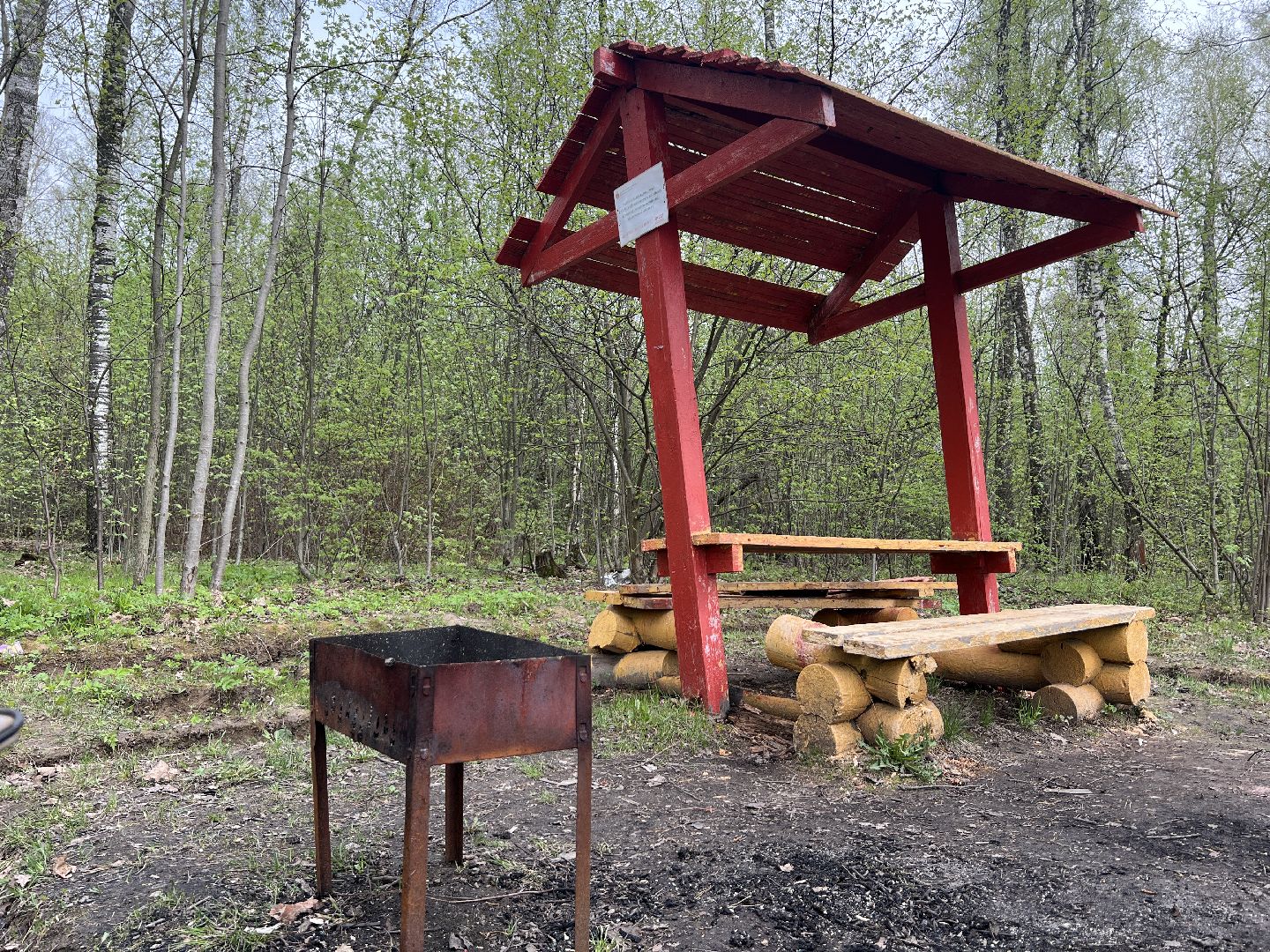 химки, отдых в лесах, пожарная безопасность,