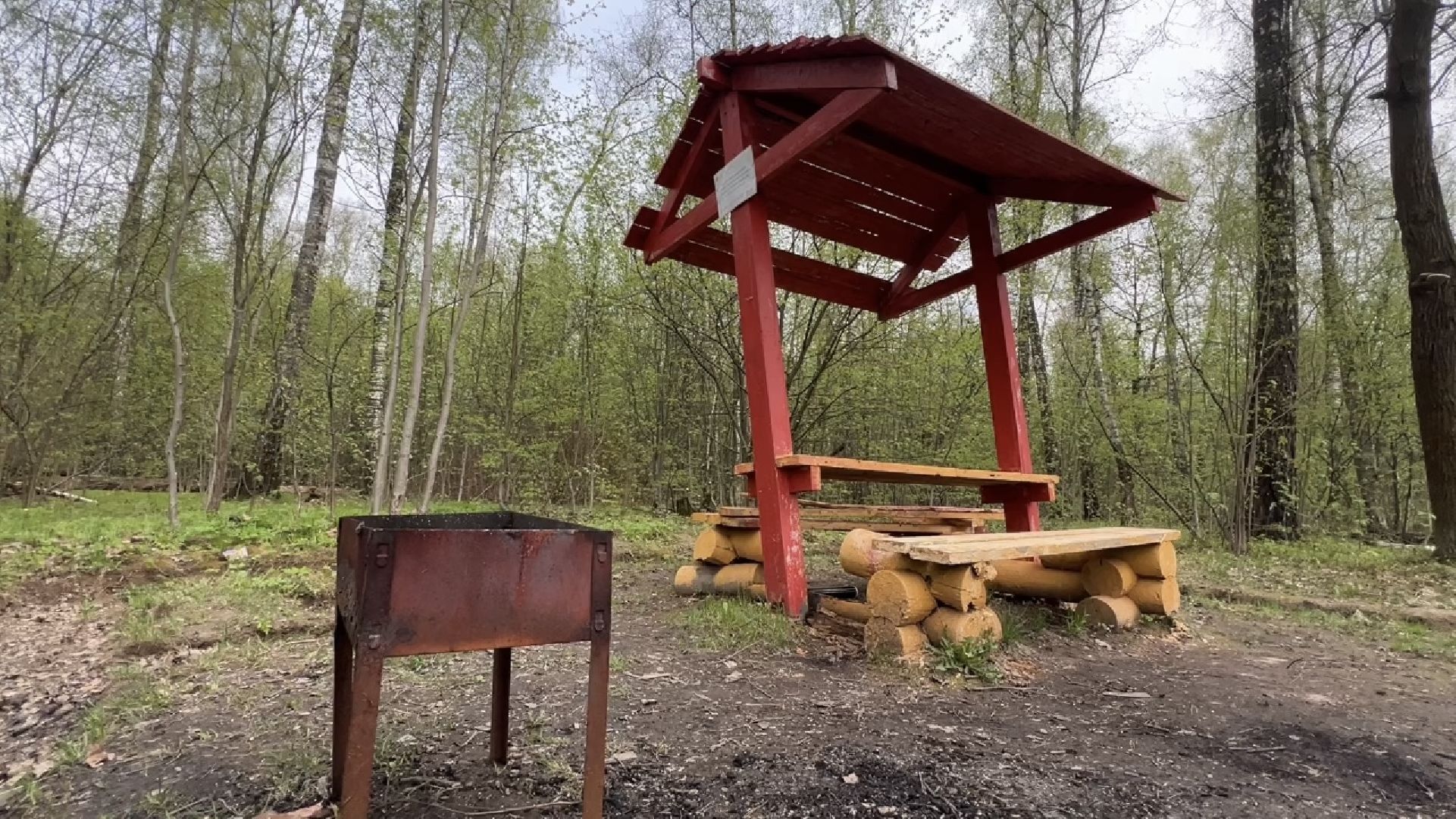 химки, отдых в лесах, пожарная безопасность,