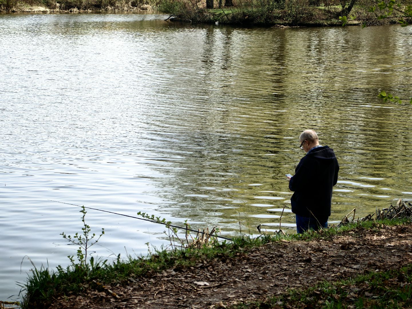 противопожарный режим, штраф, Геопортал Подмосковья, шашлыки,