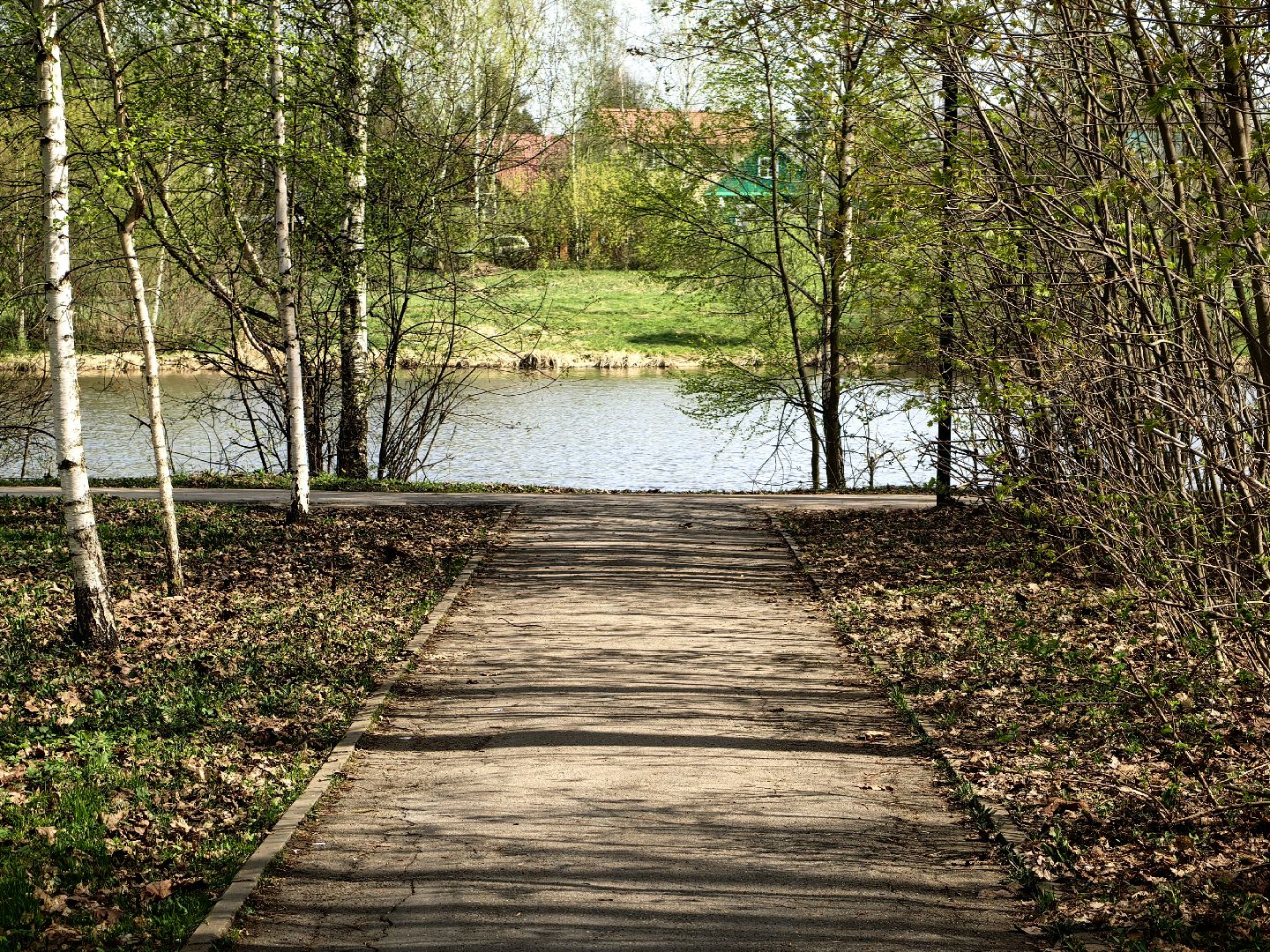 противопожарный режим, штраф, Геопортал Подмосковья, шашлыки,