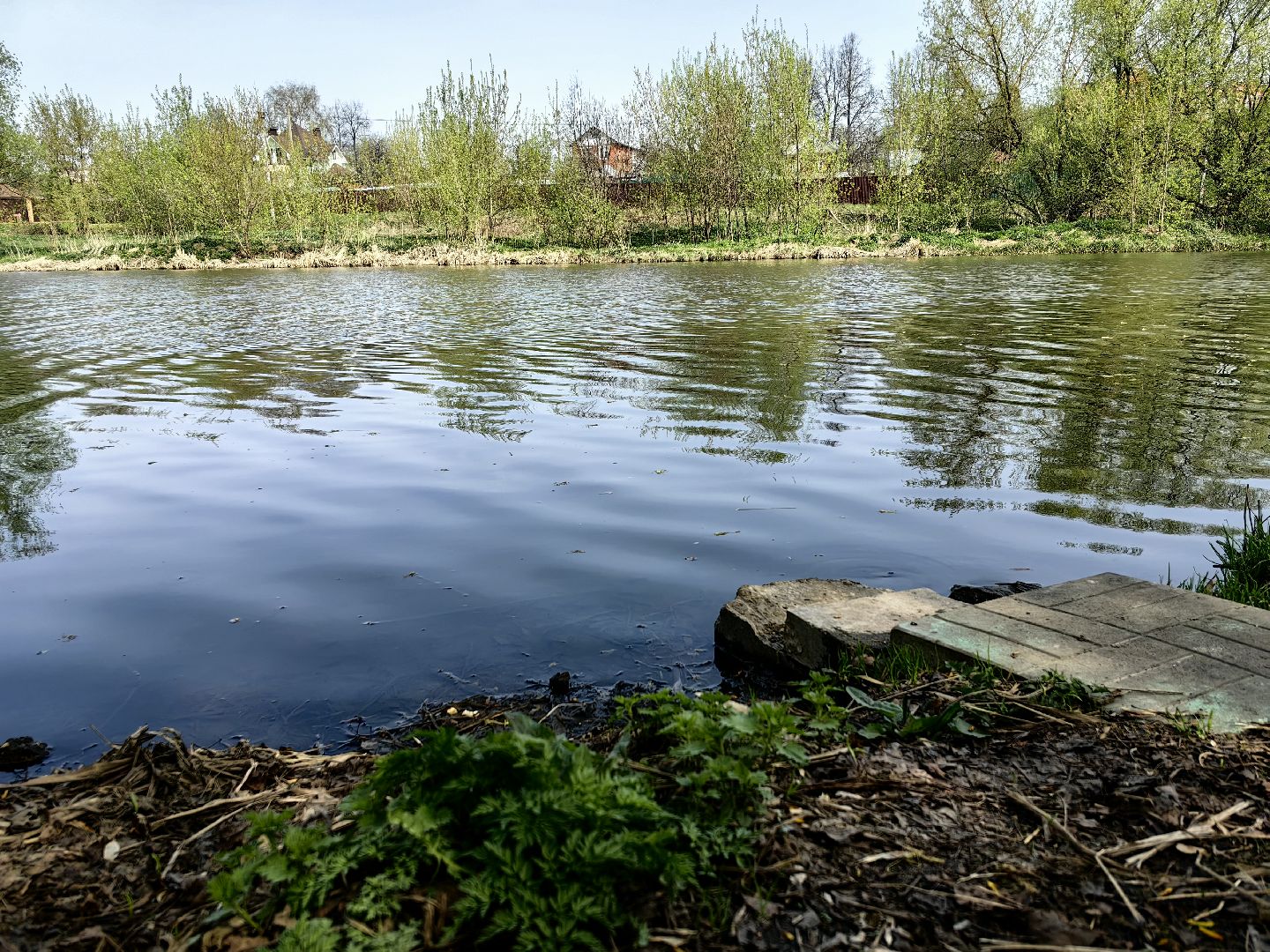 противопожарный режим, штраф, Геопортал Подмосковья, шашлыки,