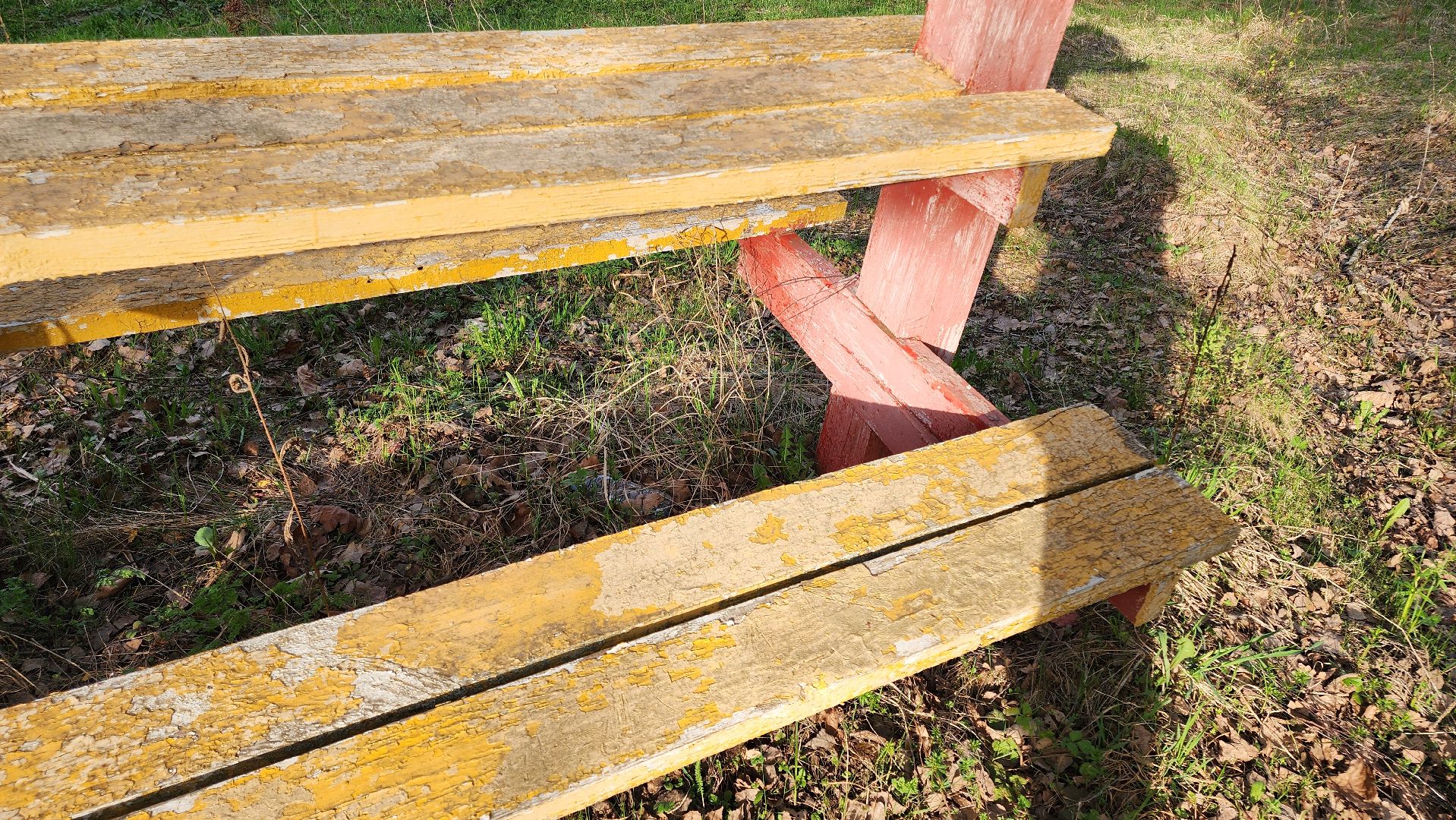 кашира, пикниковые зоны, зона для отдыха, пожарная безопасность, центрлесхоз, комитет лесного хозяйства,