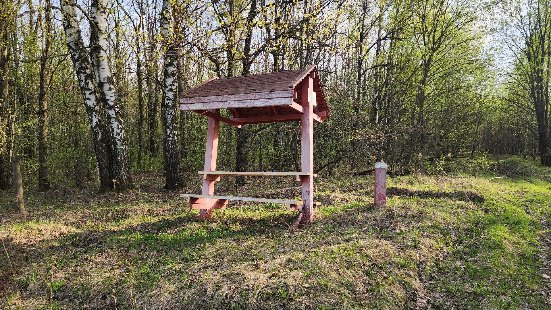 кашира, пикниковые зоны, зона для отдыха, пожарная безопасность, центрлесхоз, комитет лесного хозяйства,