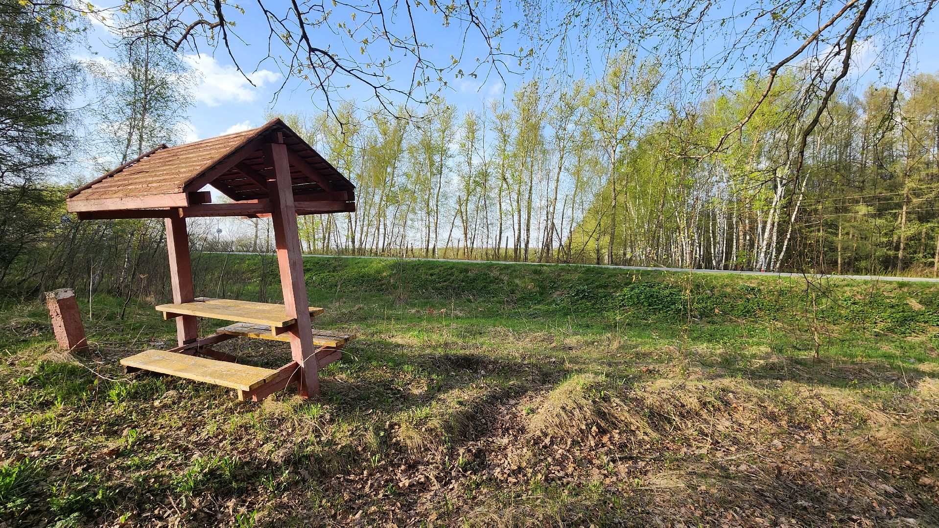 кашира, пикниковые зоны, зона для отдыха, пожарная безопасность, центрлесхоз, комитет лесного хозяйства,