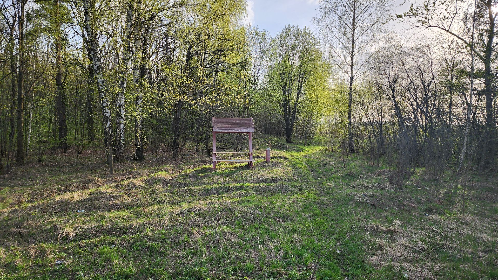 кашира, пикниковые зоны, зона для отдыха, пожарная безопасность, центрлесхоз, комитет лесного хозяйства,