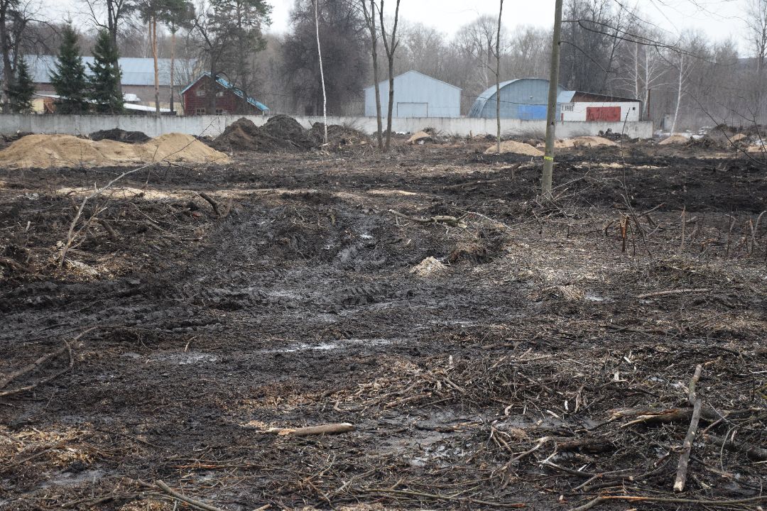 Павловский Посад, городской округ Павловский Посад, парк, благоустройство, Дубрава