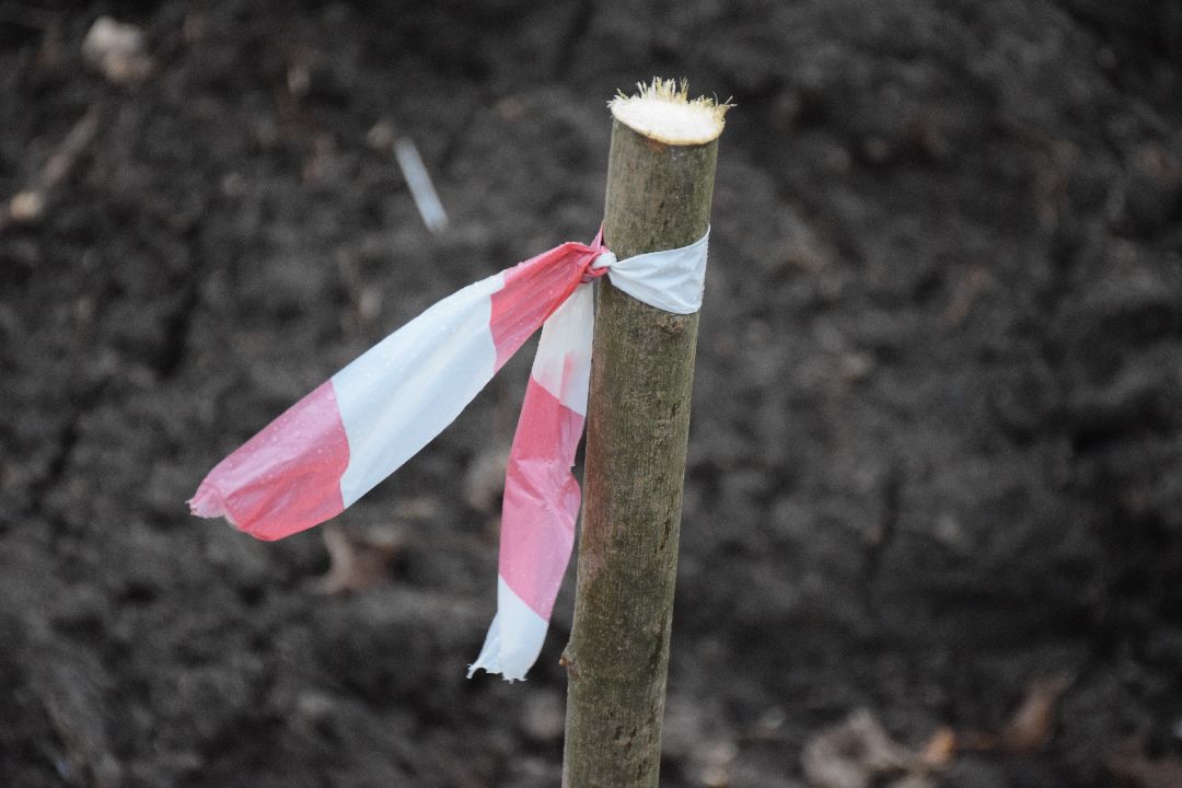 Павловский Посад, городской округ Павловский Посад, парк, благоустройство, Дубрава