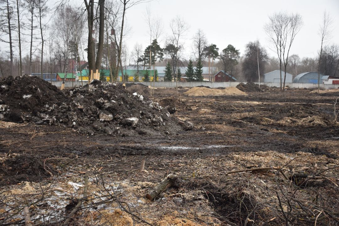 Павловский Посад, городской округ Павловский Посад, парк, благоустройство, Дубрава