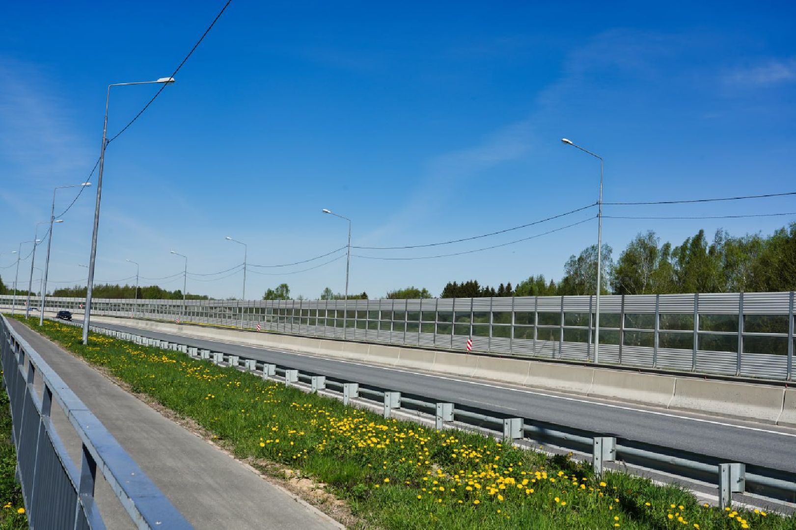 Сергиев Посад, День добрых дел, Акция, Сергиево-Посадский городской округ, Посадка деревьев, Школьники, Образование, Экология, Добро, Дети,