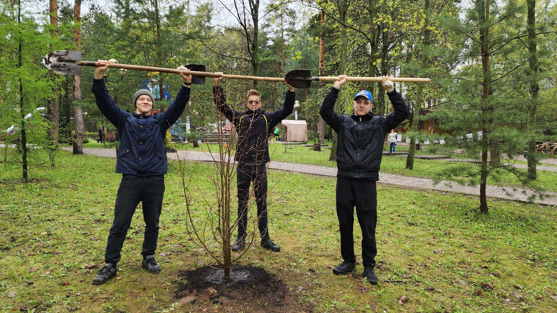 красногорск, день добрых дел, субботник, высадка деревьев,
