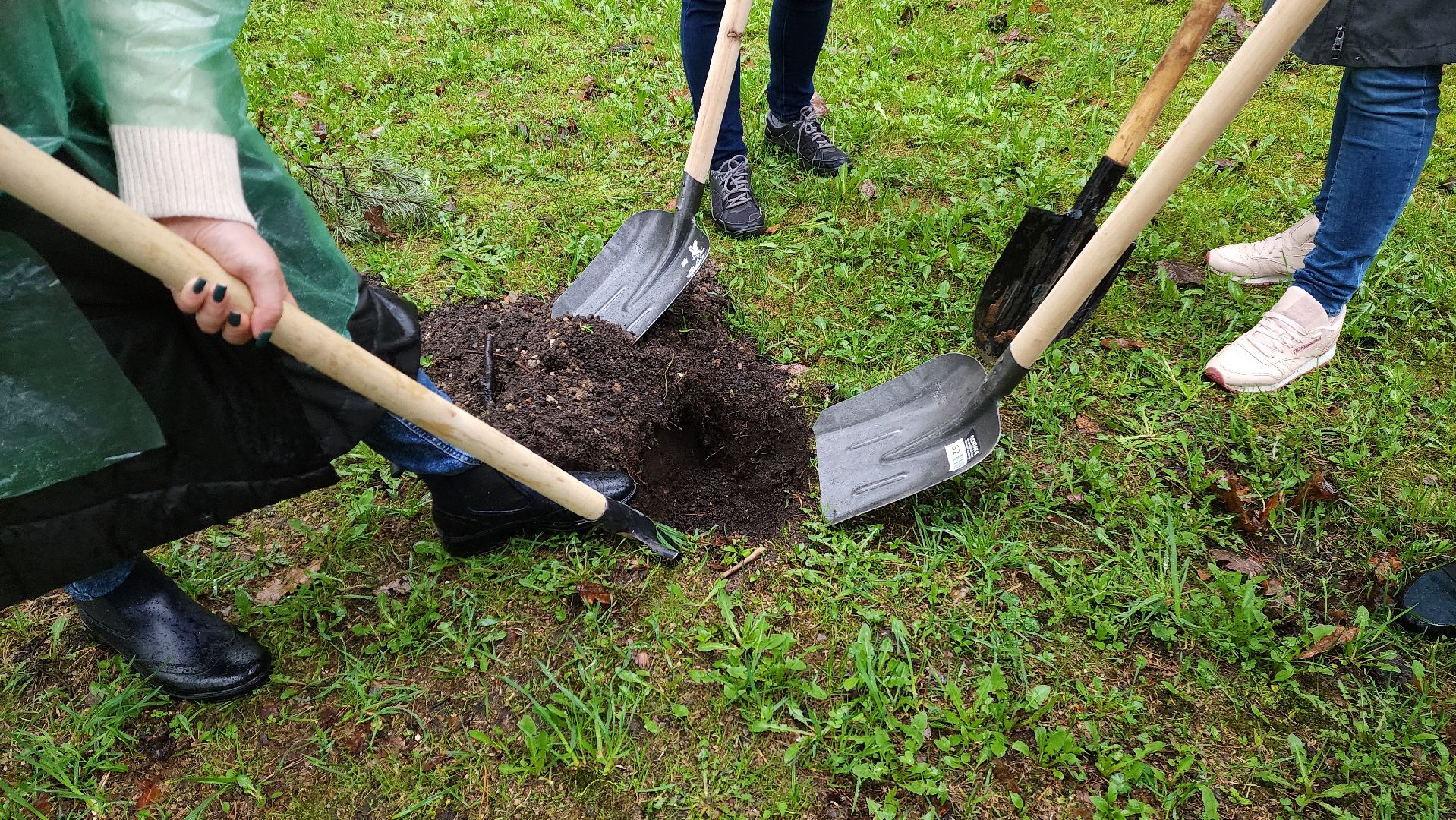 красногорск, день добрых дел, субботник, высадка деревьев,