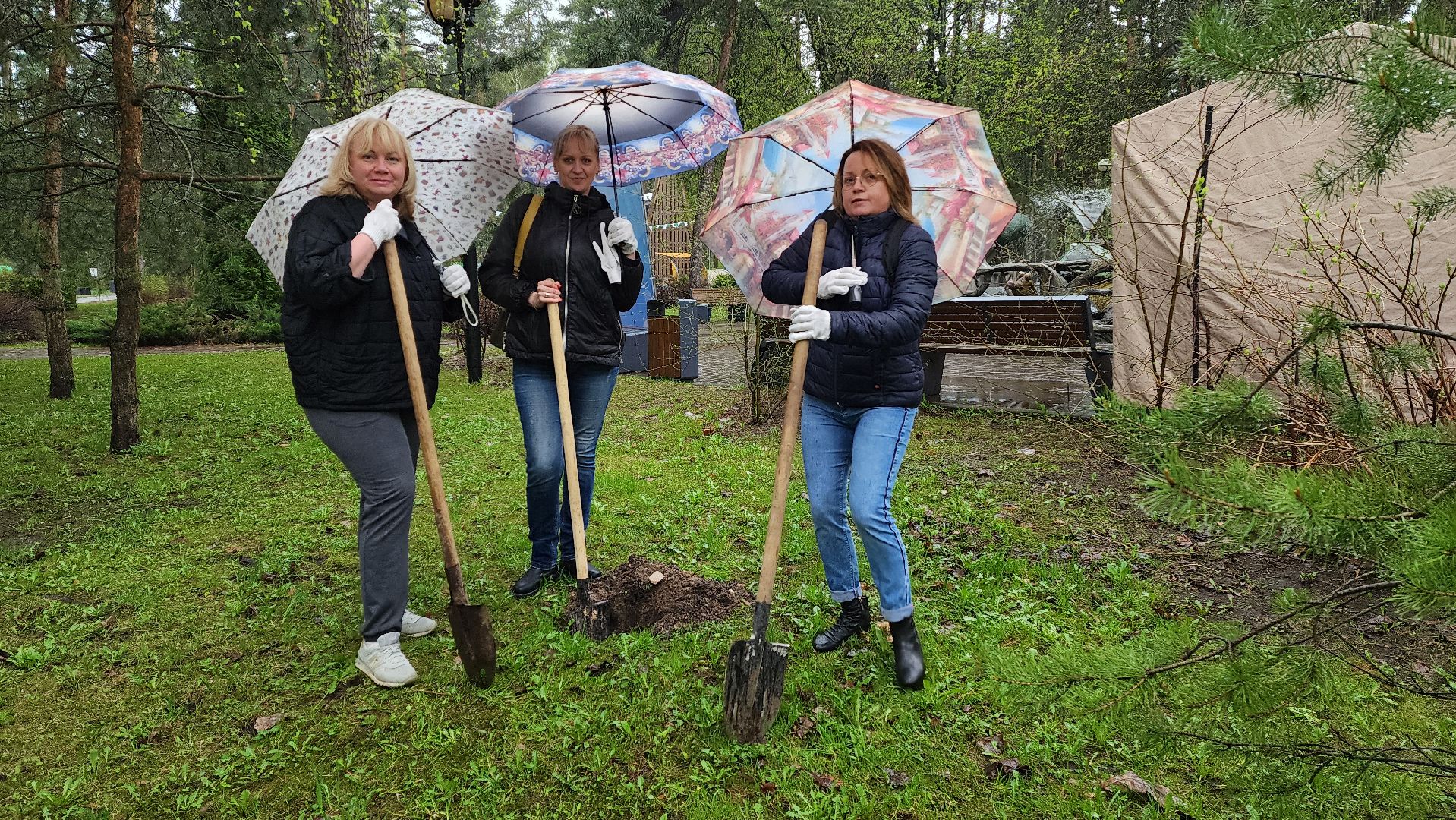 красногорск, день добрых дел, субботник, высадка деревьев,