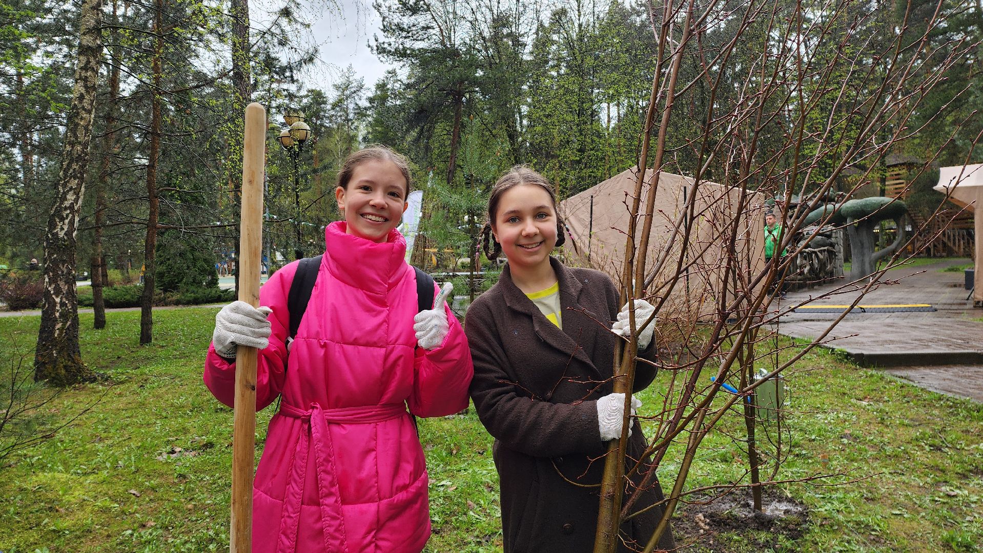 красногорск, день добрых дел, субботник, высадка деревьев,