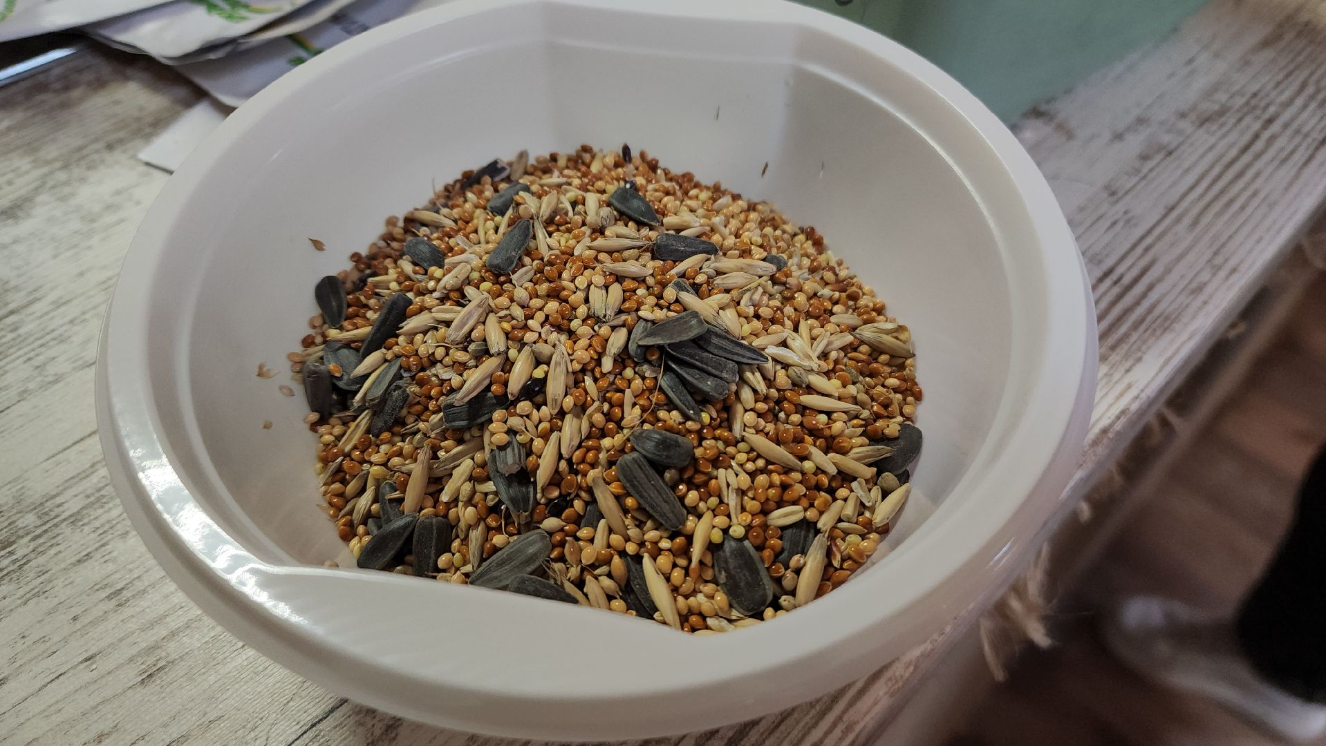 красногорск, день добрых дел, субботник, высадка деревьев,