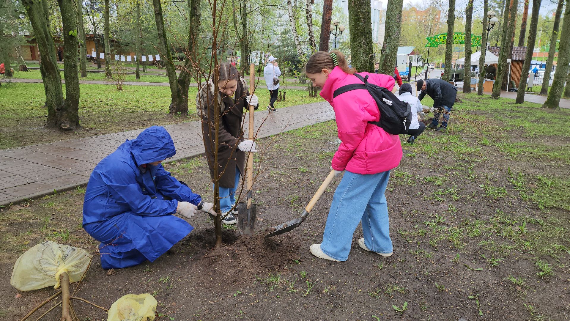 красногорск, день добрых дел, субботник, высадка деревьев,
