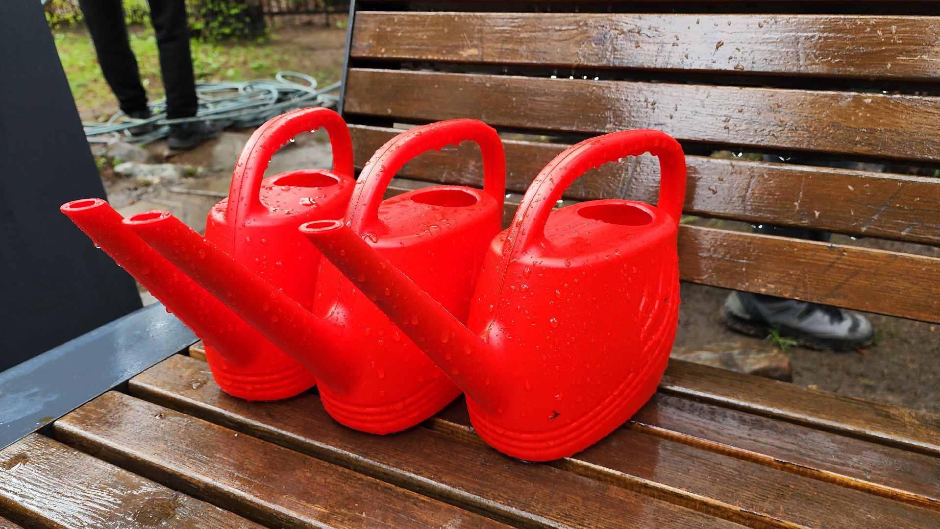 красногорск, день добрых дел, субботник, высадка деревьев,