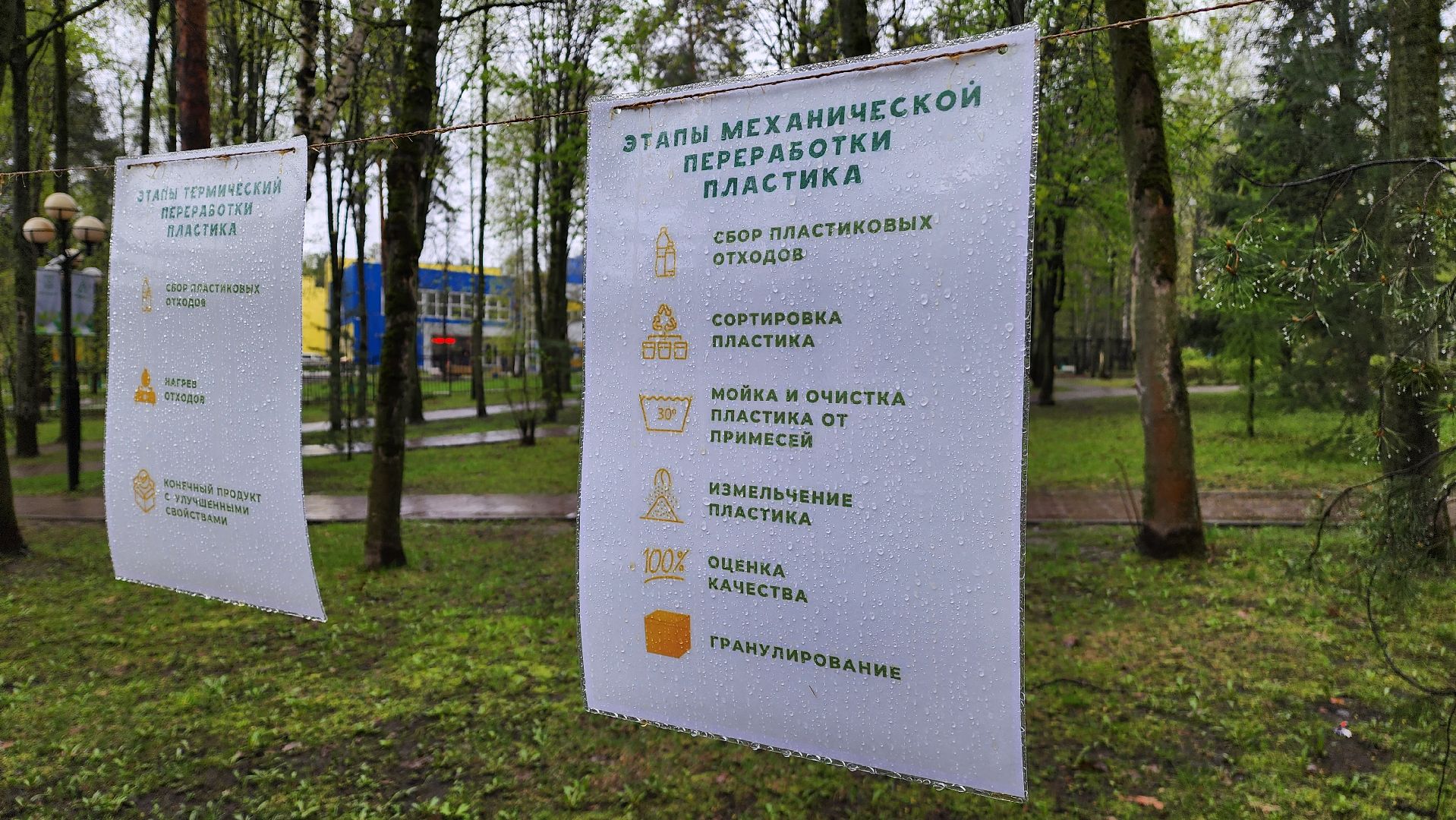 красногорск, день добрых дел, субботник, высадка деревьев,