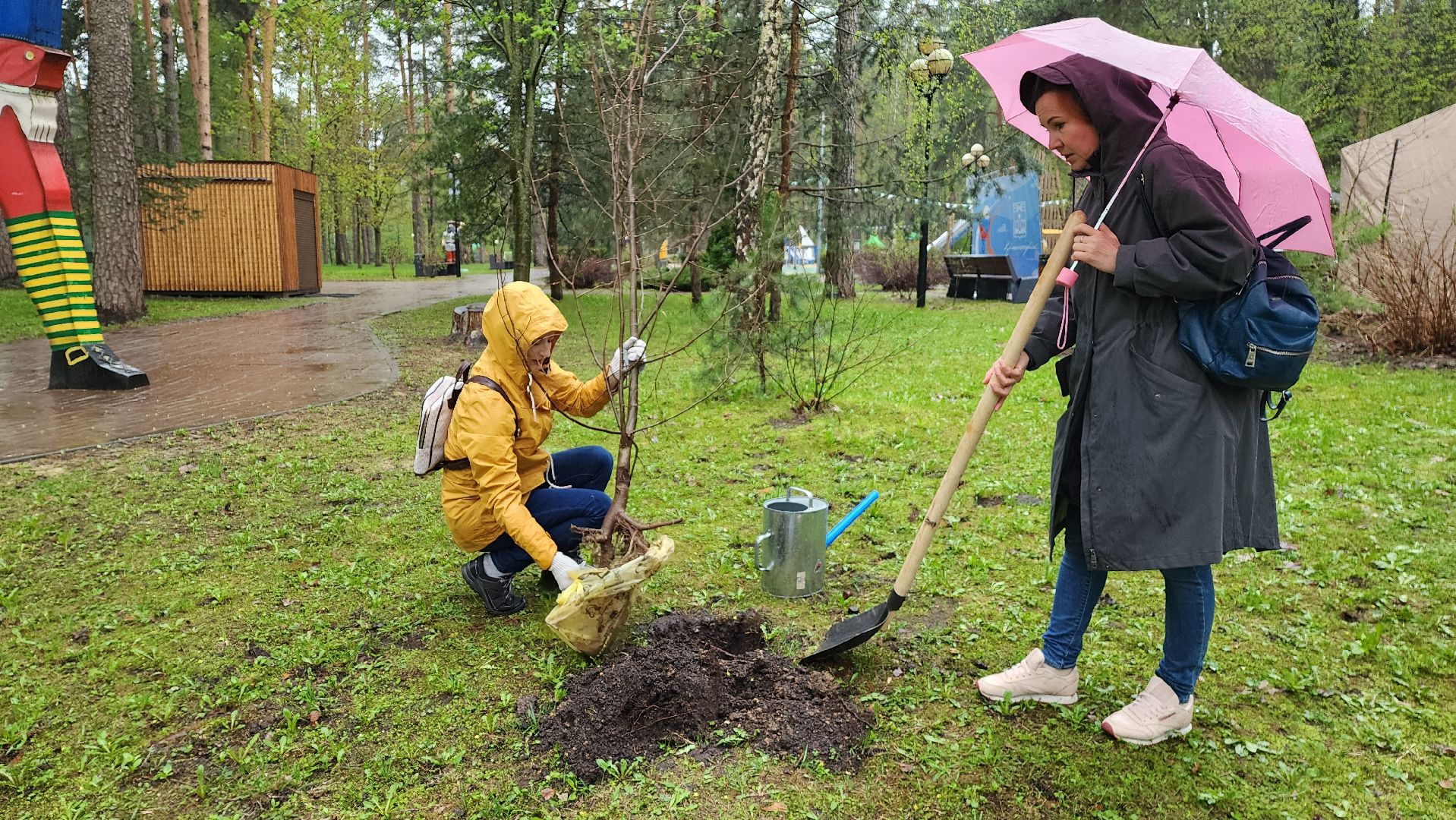красногорск, день добрых дел, субботник, высадка деревьев,