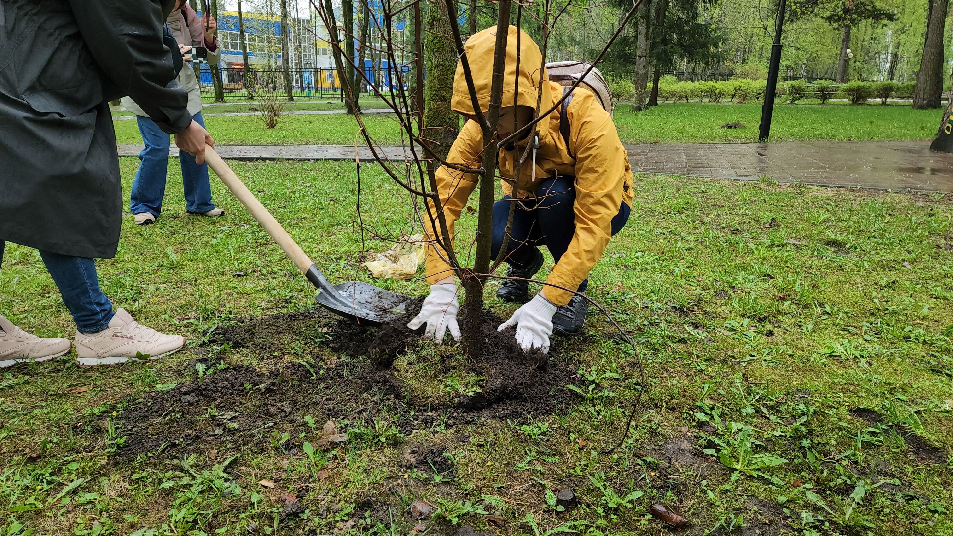 красногорск, день добрых дел, субботник, высадка деревьев,