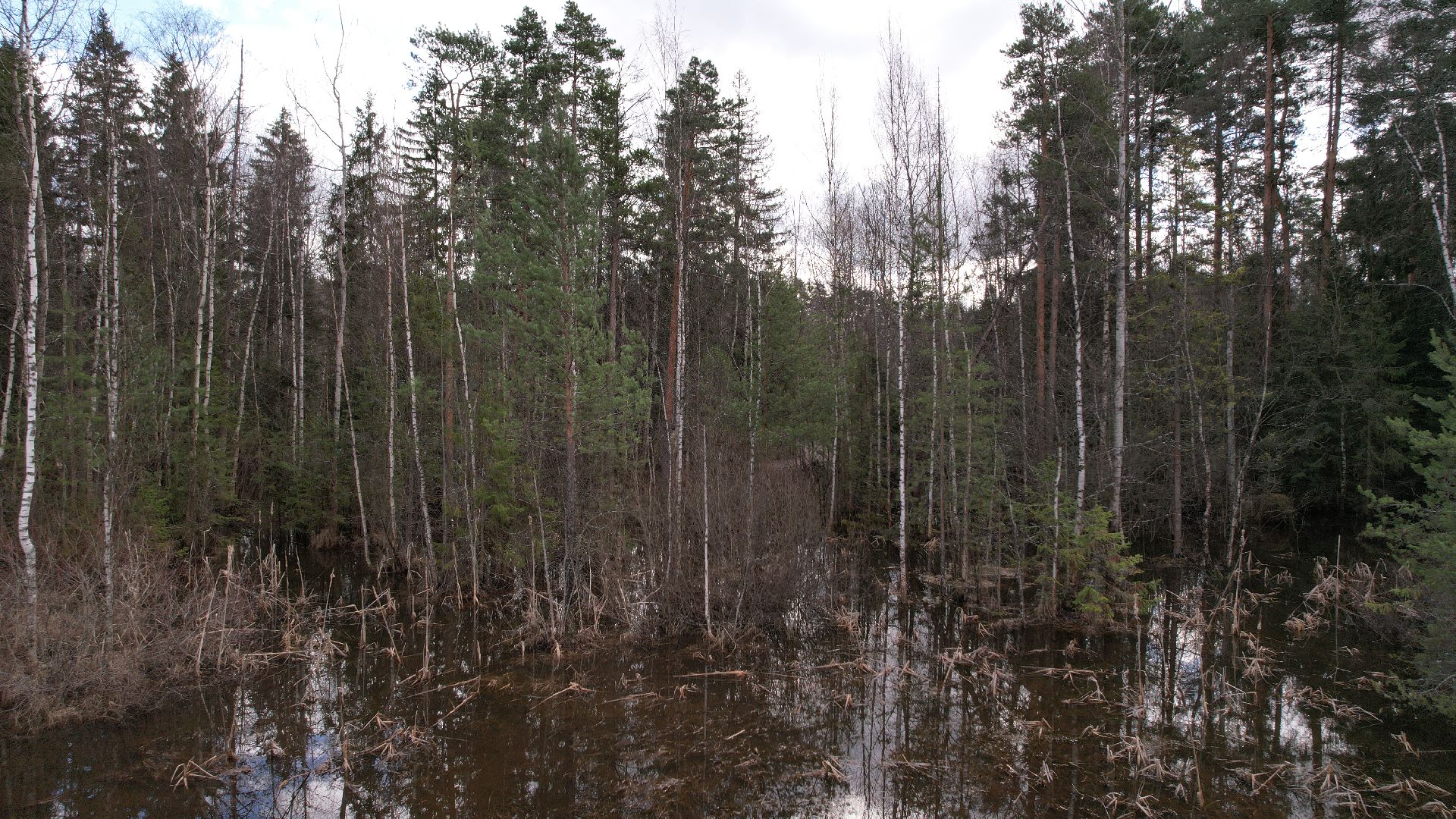 видео с коптера, лобня, благоустройство, лесопарк,