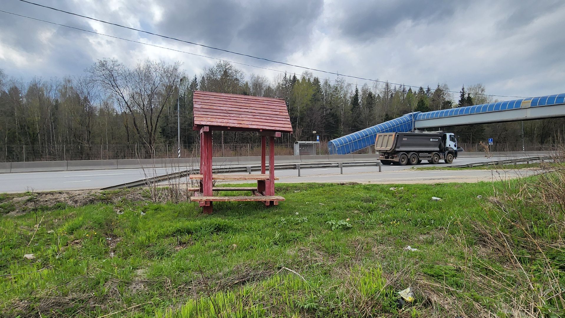 Солнечногорск, Центрлесхоз, шашлыки, экология,