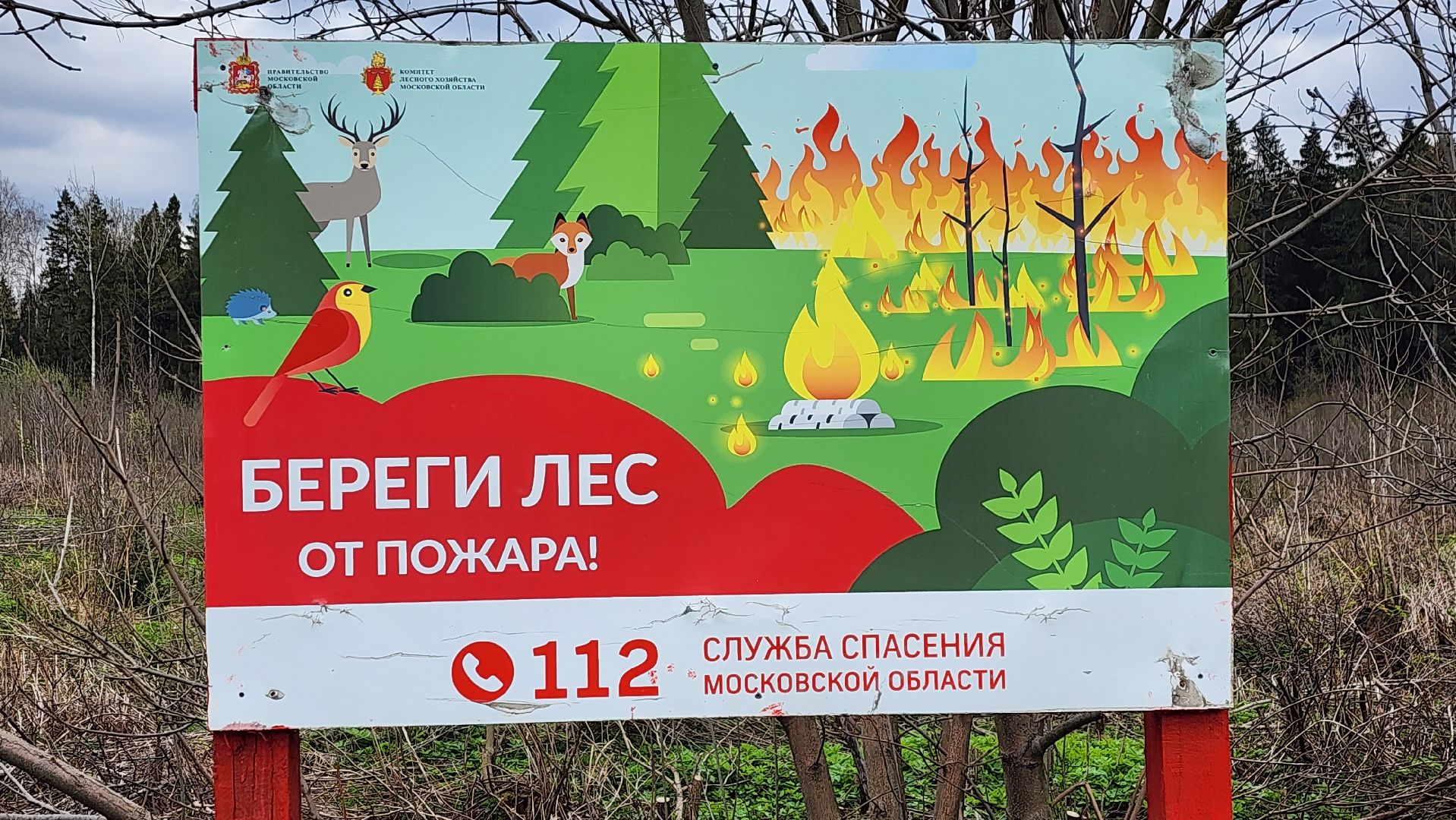 Солнечногорск, Центрлесхоз, шашлыки, экология,