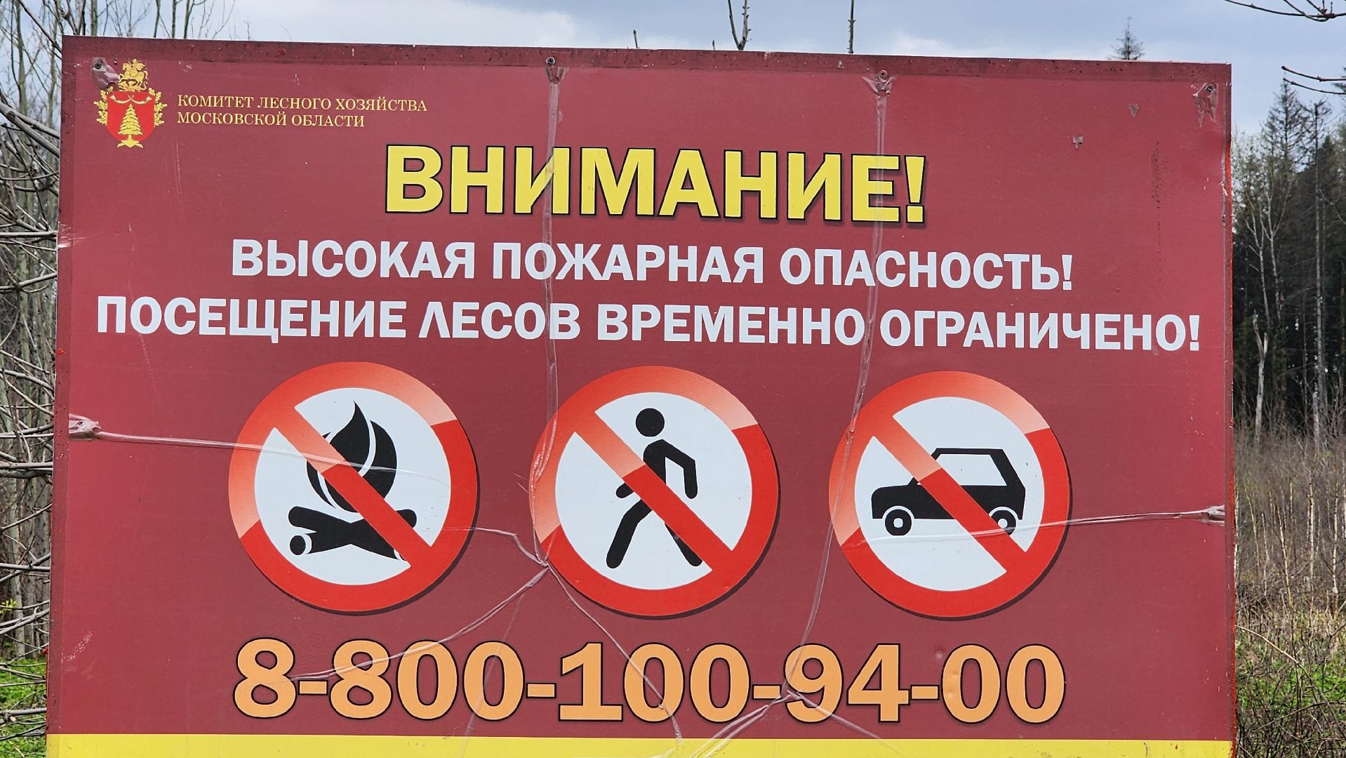 Солнечногорск, Центрлесхоз, шашлыки, экология,