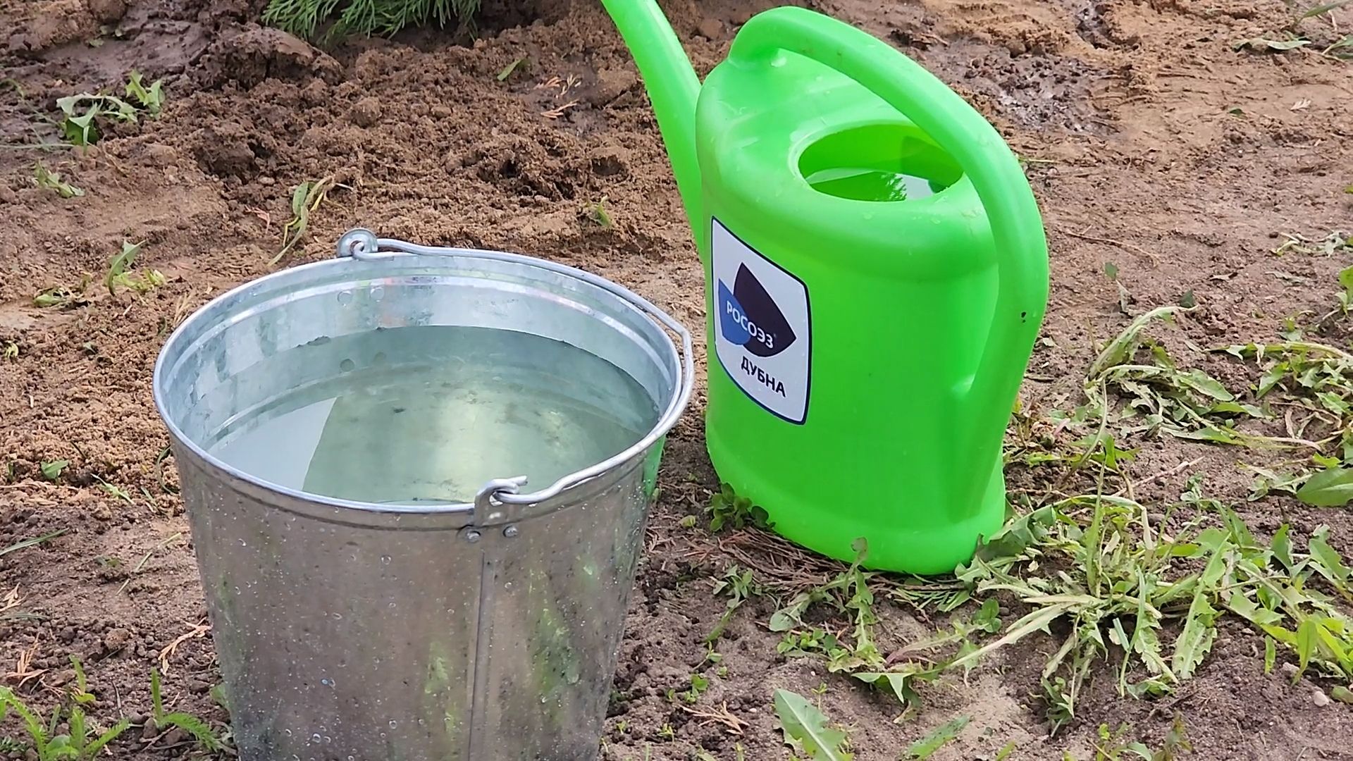 Экомониторинг, Университет Дубна, Студенты, Экологи, оэз дубна,