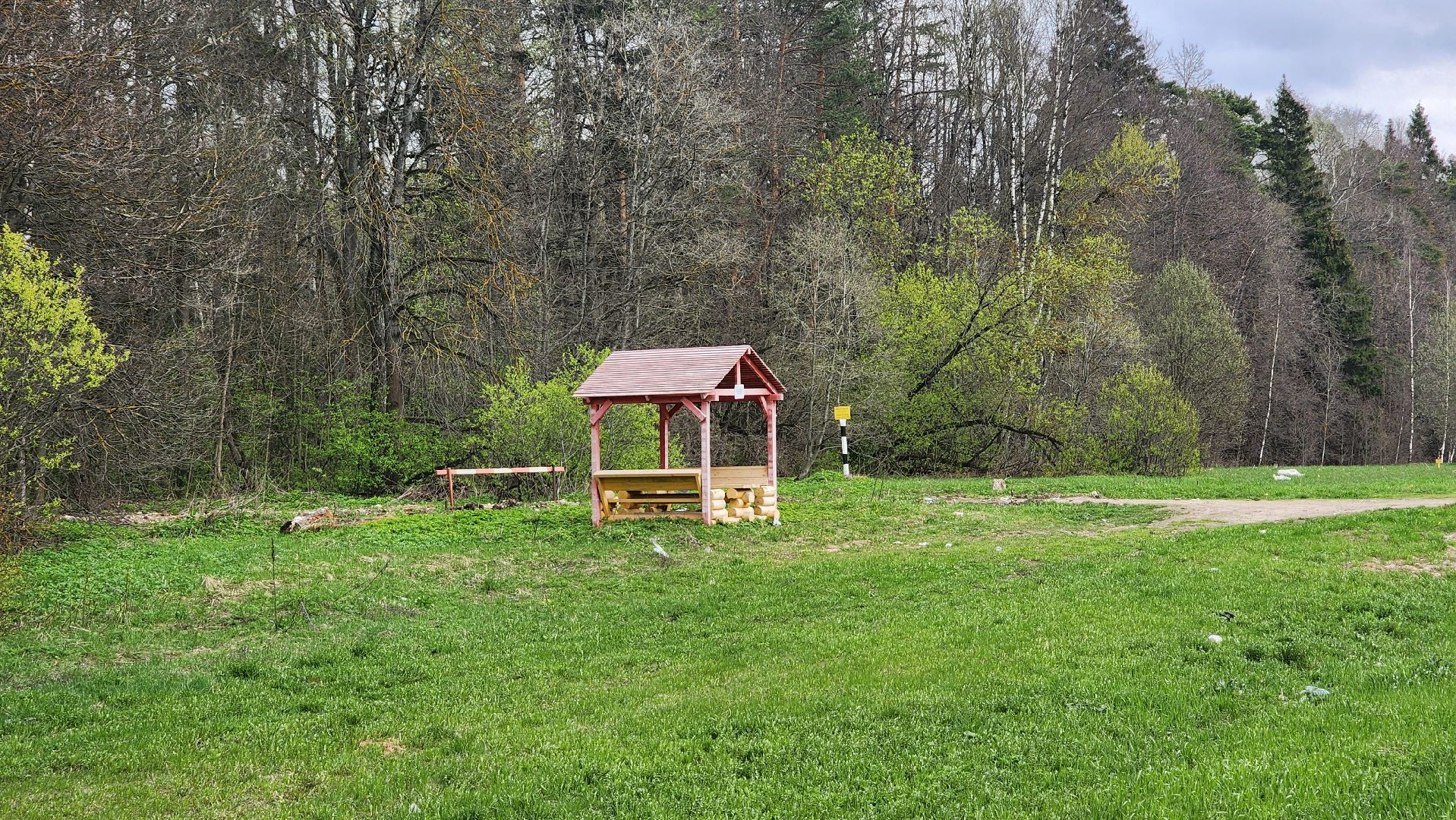 Солнечногорск, Центрлесхоз, экология, пикник,