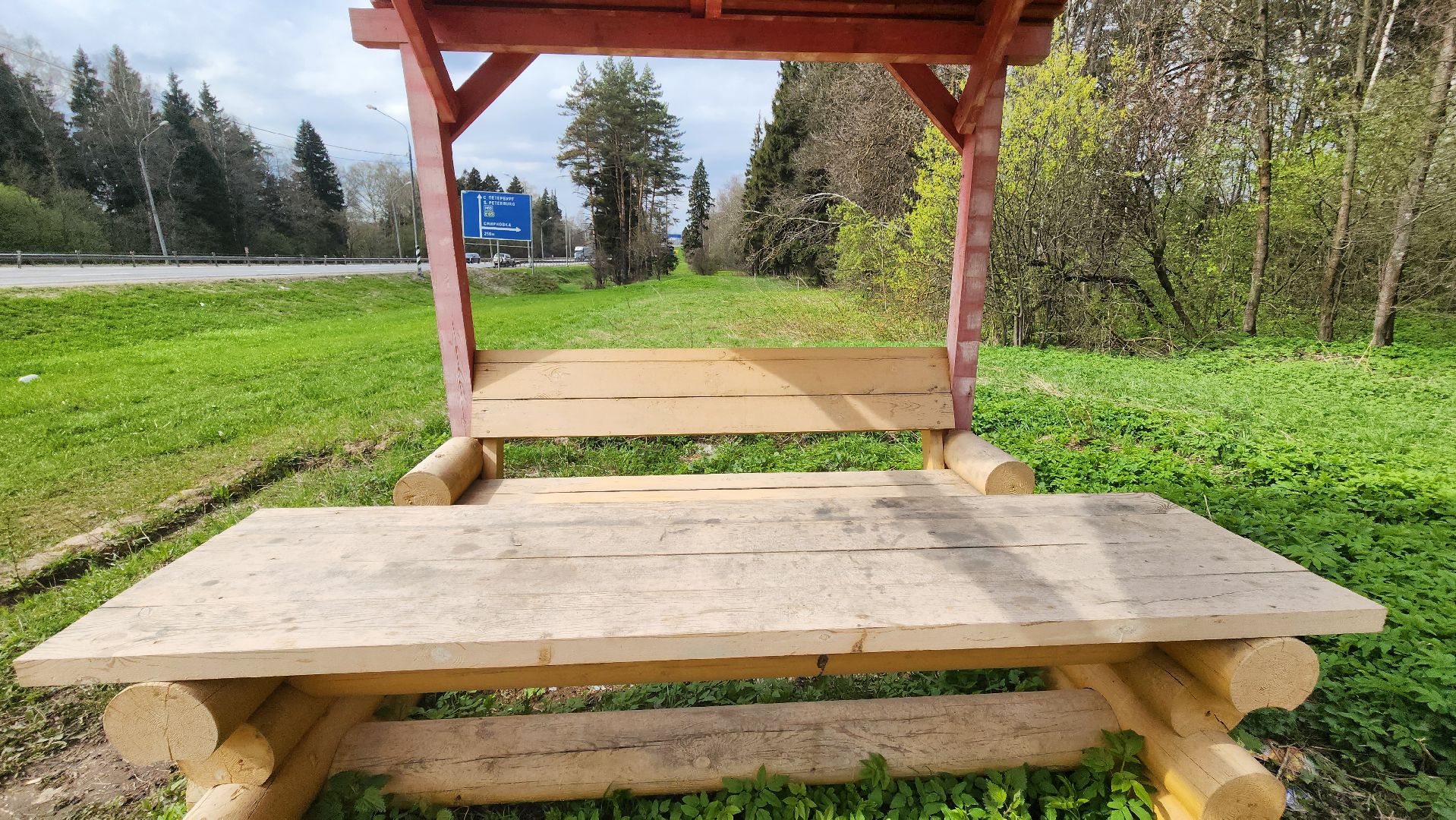 Солнечногорск, Центрлесхоз, экология, пикник,