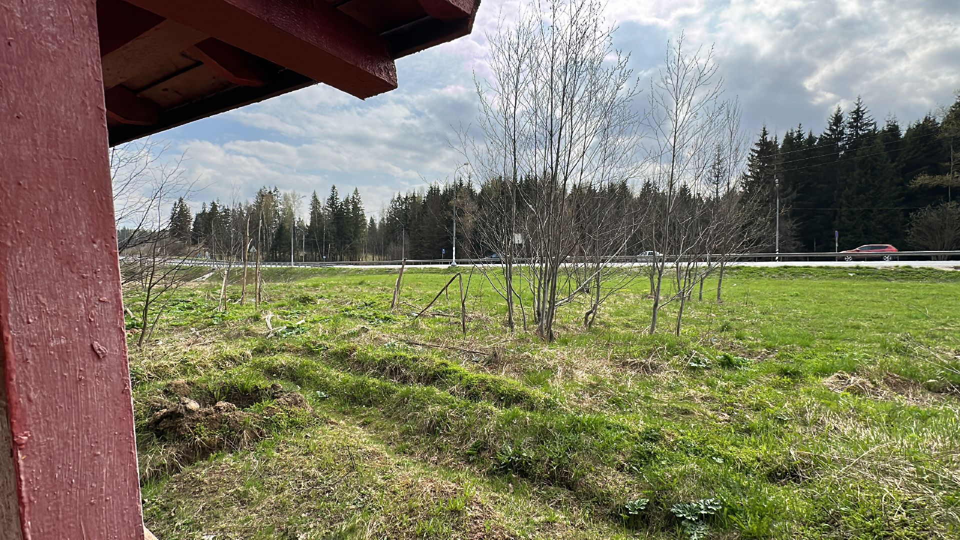 Клин, общество, пожары, отдых, отдых на природе, пожары лесов,