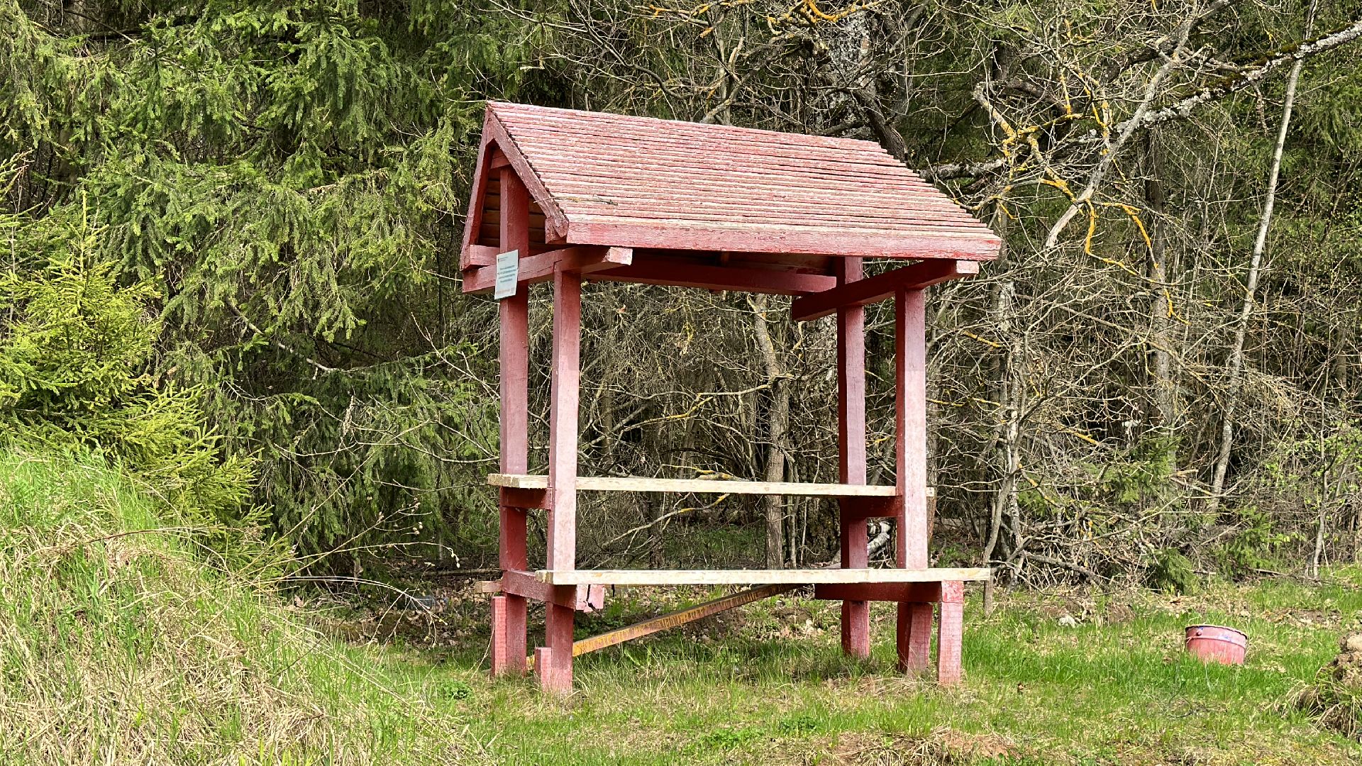 Клин, общество, пожары, отдых, отдых на природе, пожары лесов,