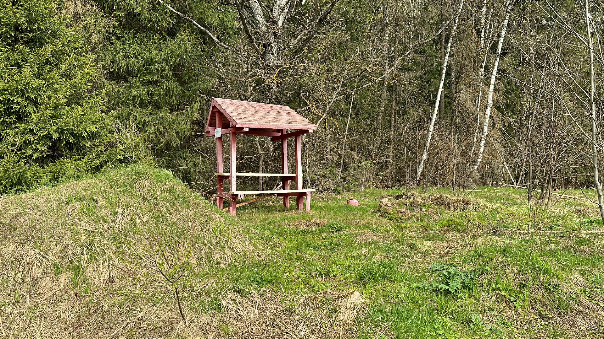 Клин, общество, пожары, отдых, отдых на природе, пожары лесов,