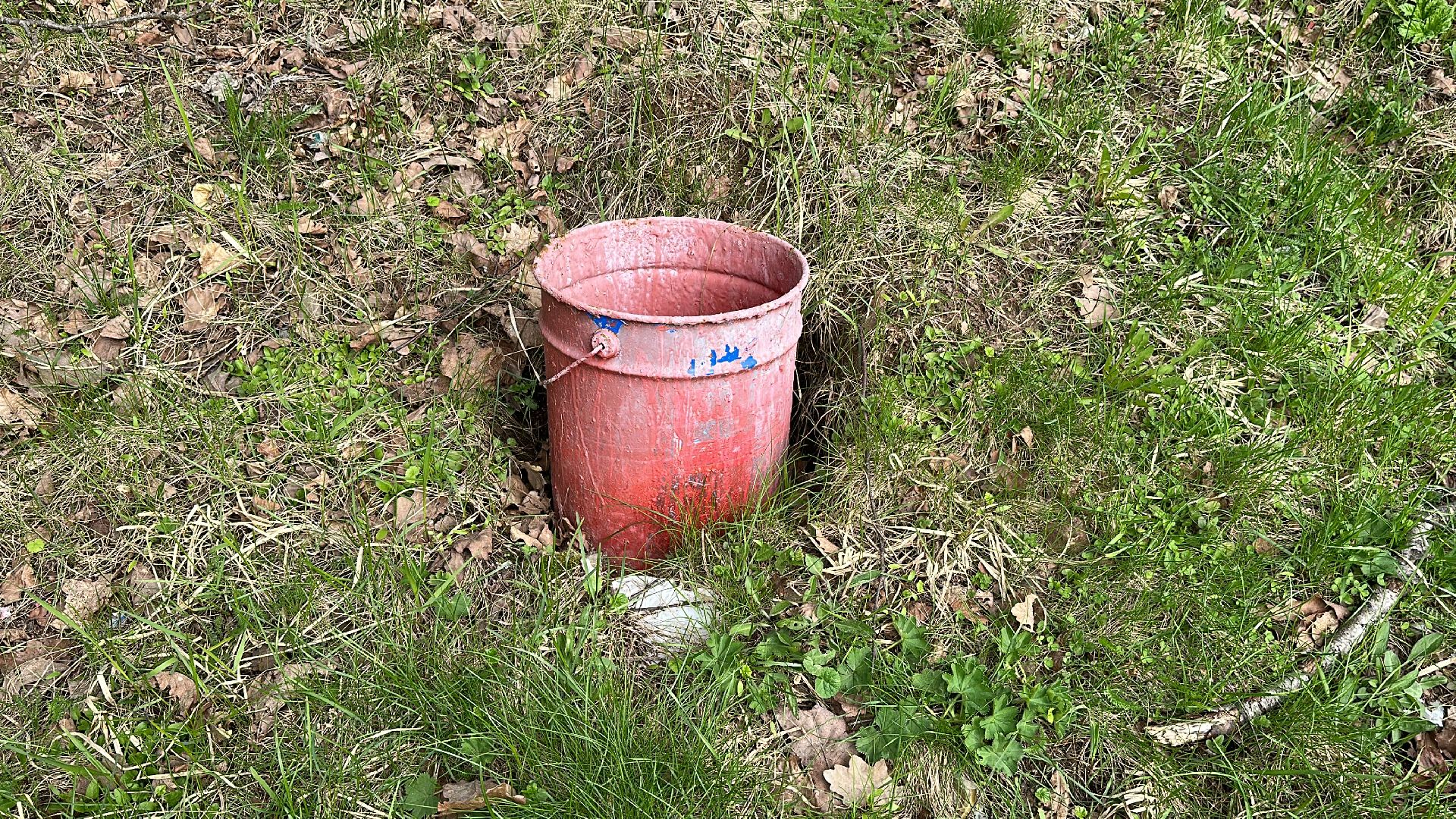 Клин, общество, пожары, отдых, отдых на природе, пожары лесов,