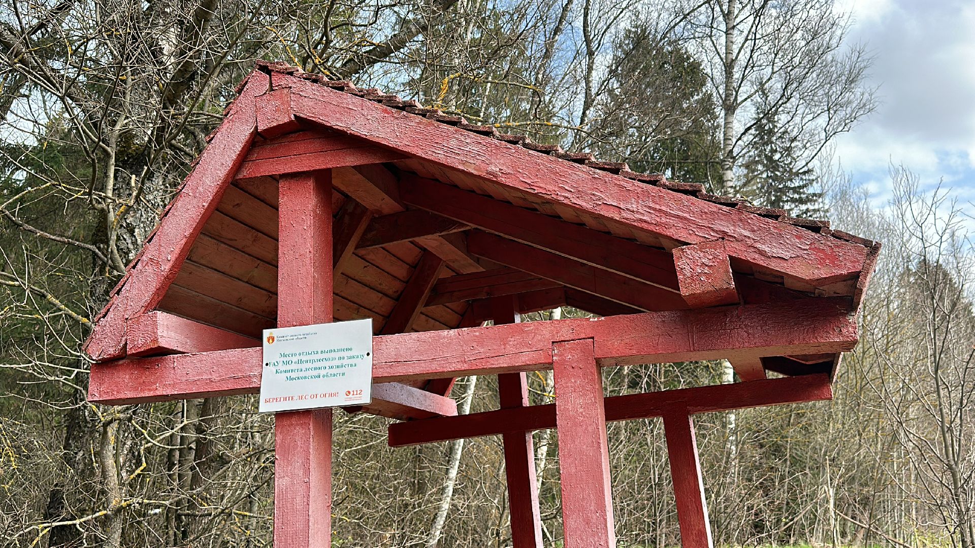 Клин, общество, пожары, отдых, отдых на природе, пожары лесов,