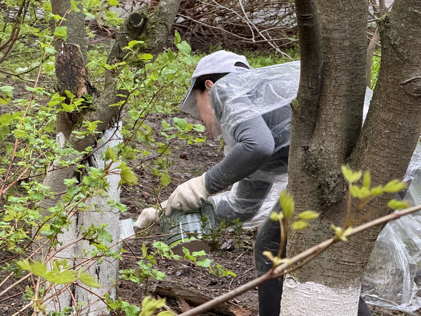 Одинцово, День добрых дел, Подмосковье,