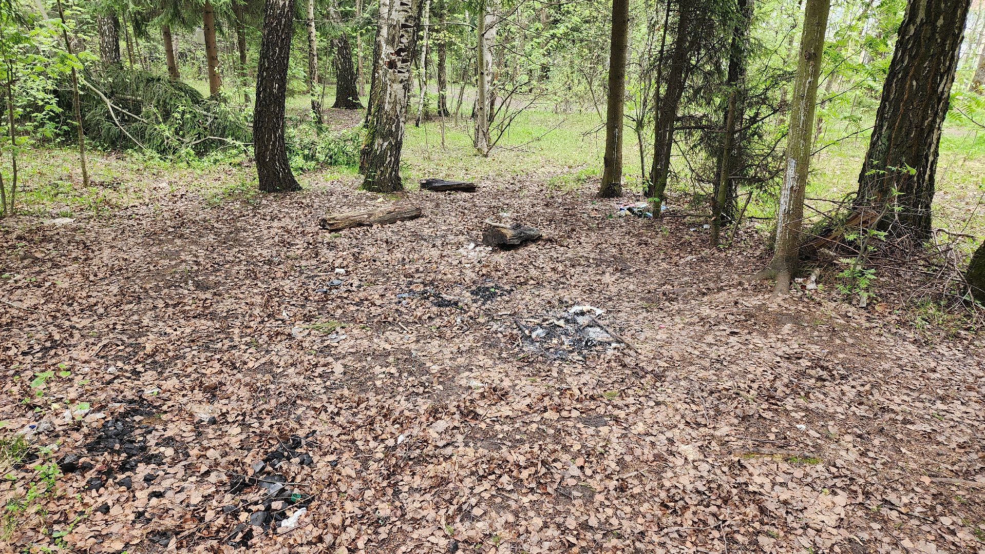 кашира, пожарная безопасность, огнеопасный период, штрафы, разведение костров в неположенных местах, березовая роща,