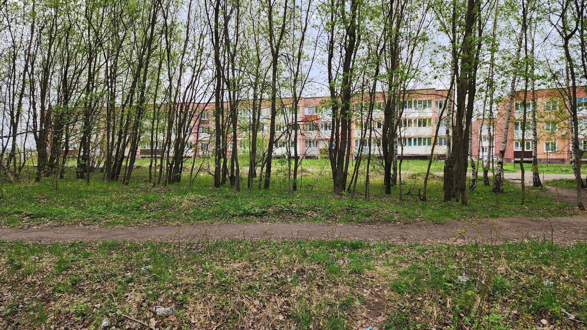 кашира, пожарная безопасность, огнеопасный период, штрафы, разведение костров в неположенных местах, березовая роща,