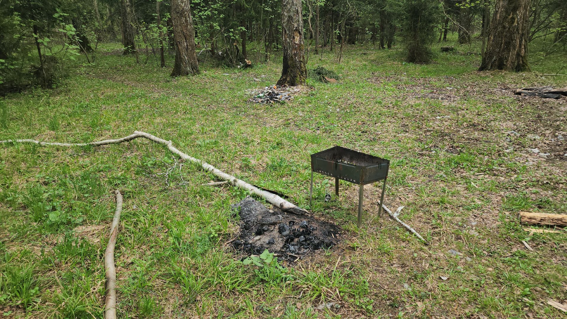 кашира, пожарная безопасность, огнеопасный период, штрафы, разведение костров в неположенных местах, березовая роща,