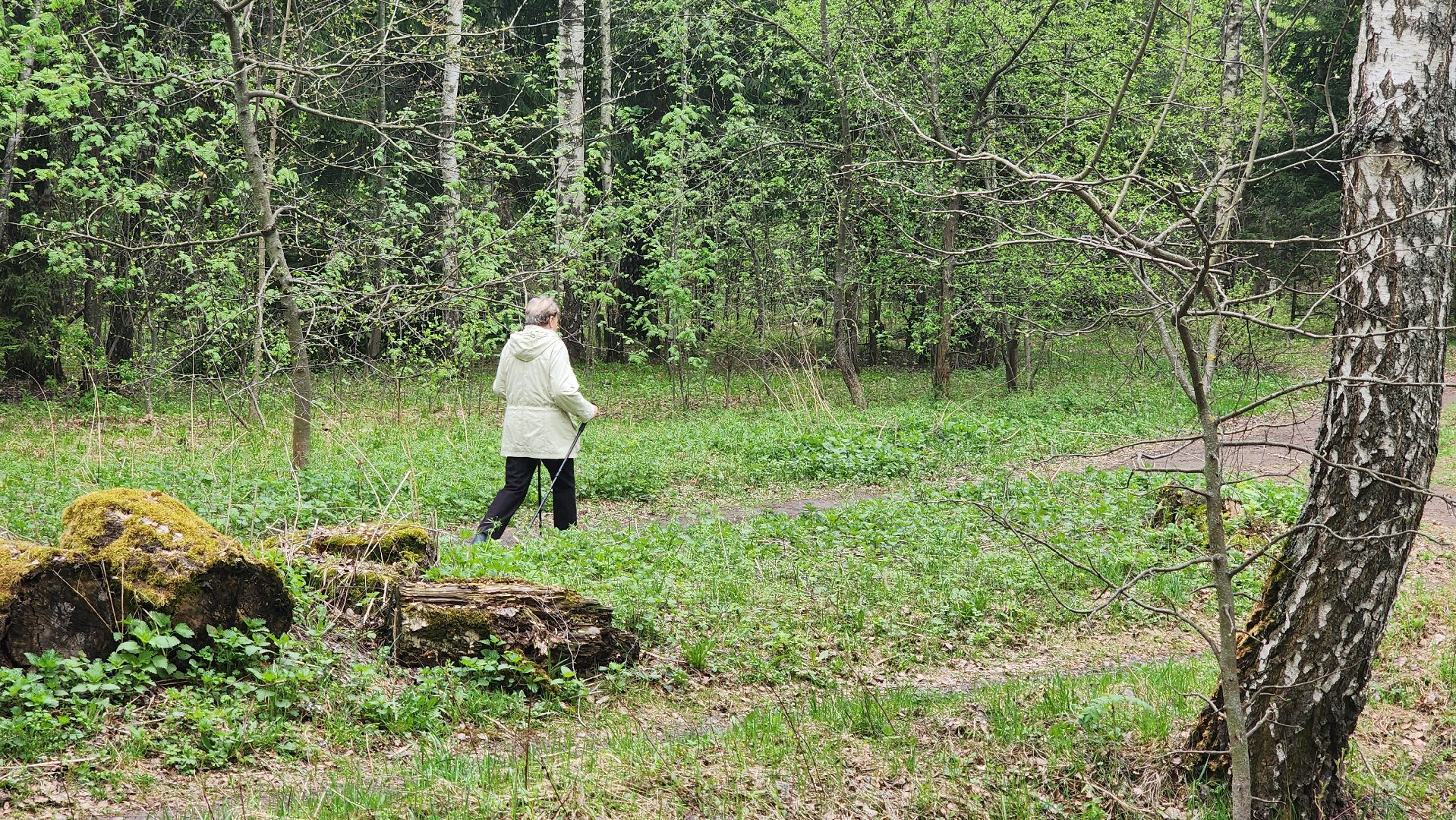 кашира, пожарная безопасность, огнеопасный период, штрафы, разведение костров в неположенных местах, березовая роща,
