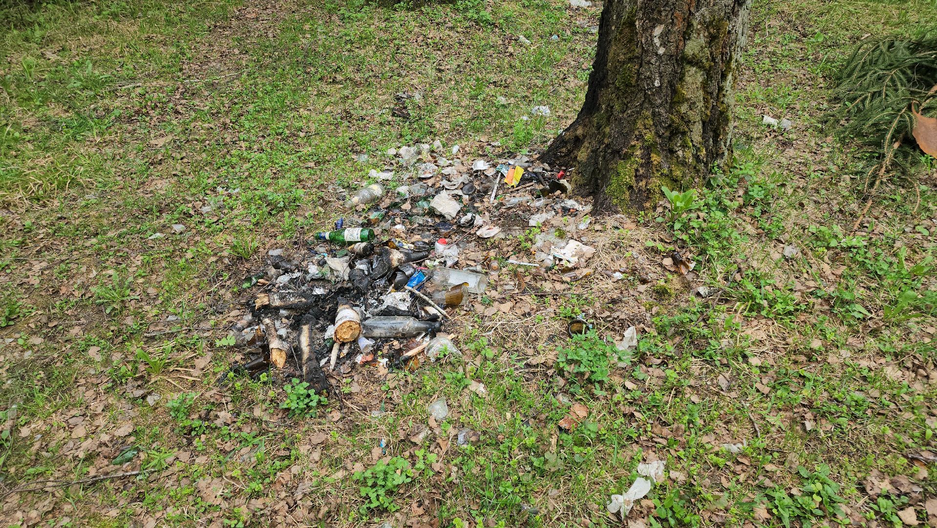 кашира, пожарная безопасность, огнеопасный период, штрафы, разведение костров в неположенных местах, березовая роща,