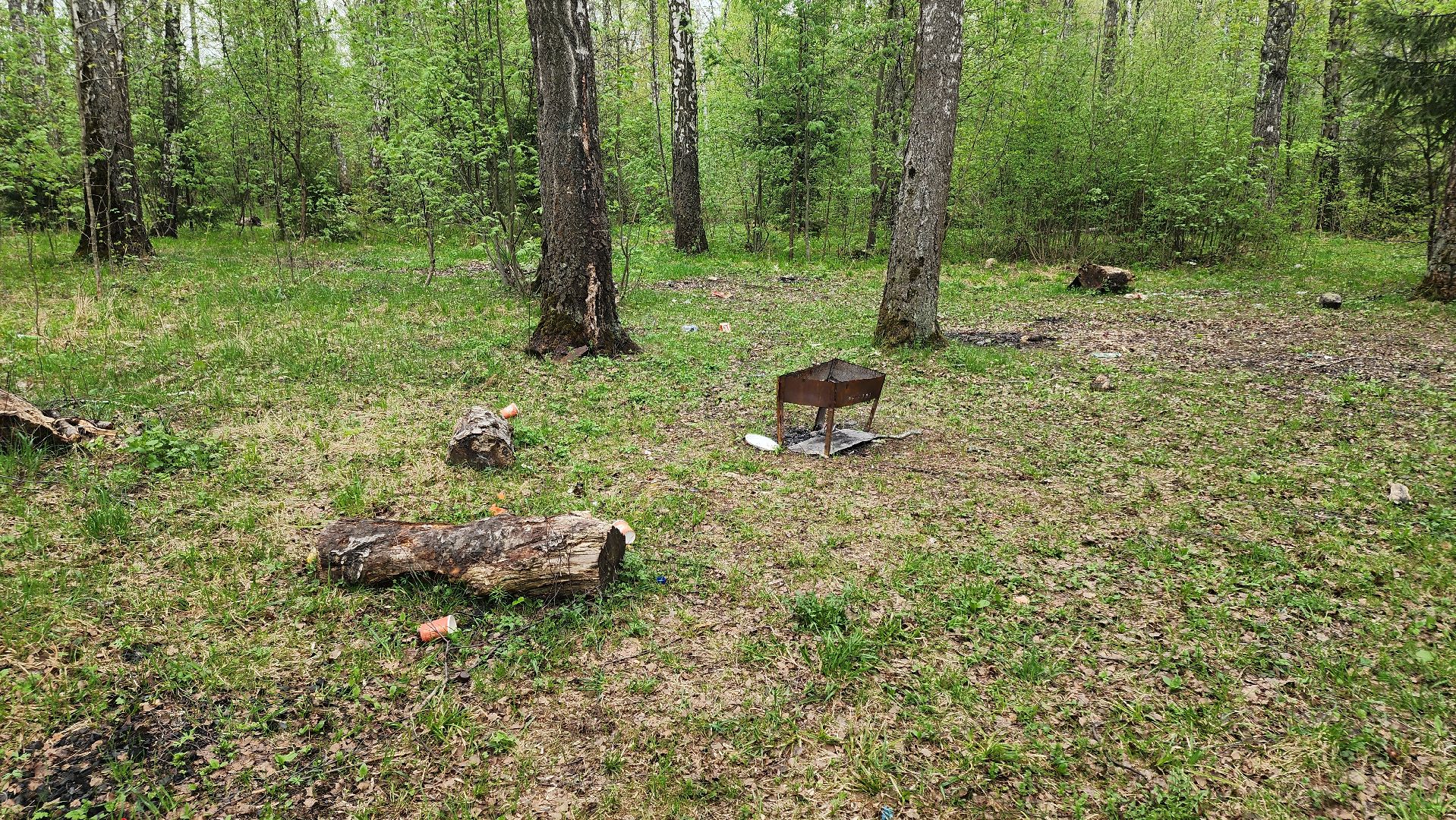 кашира, пожарная безопасность, огнеопасный период, штрафы, разведение костров в неположенных местах, березовая роща,
