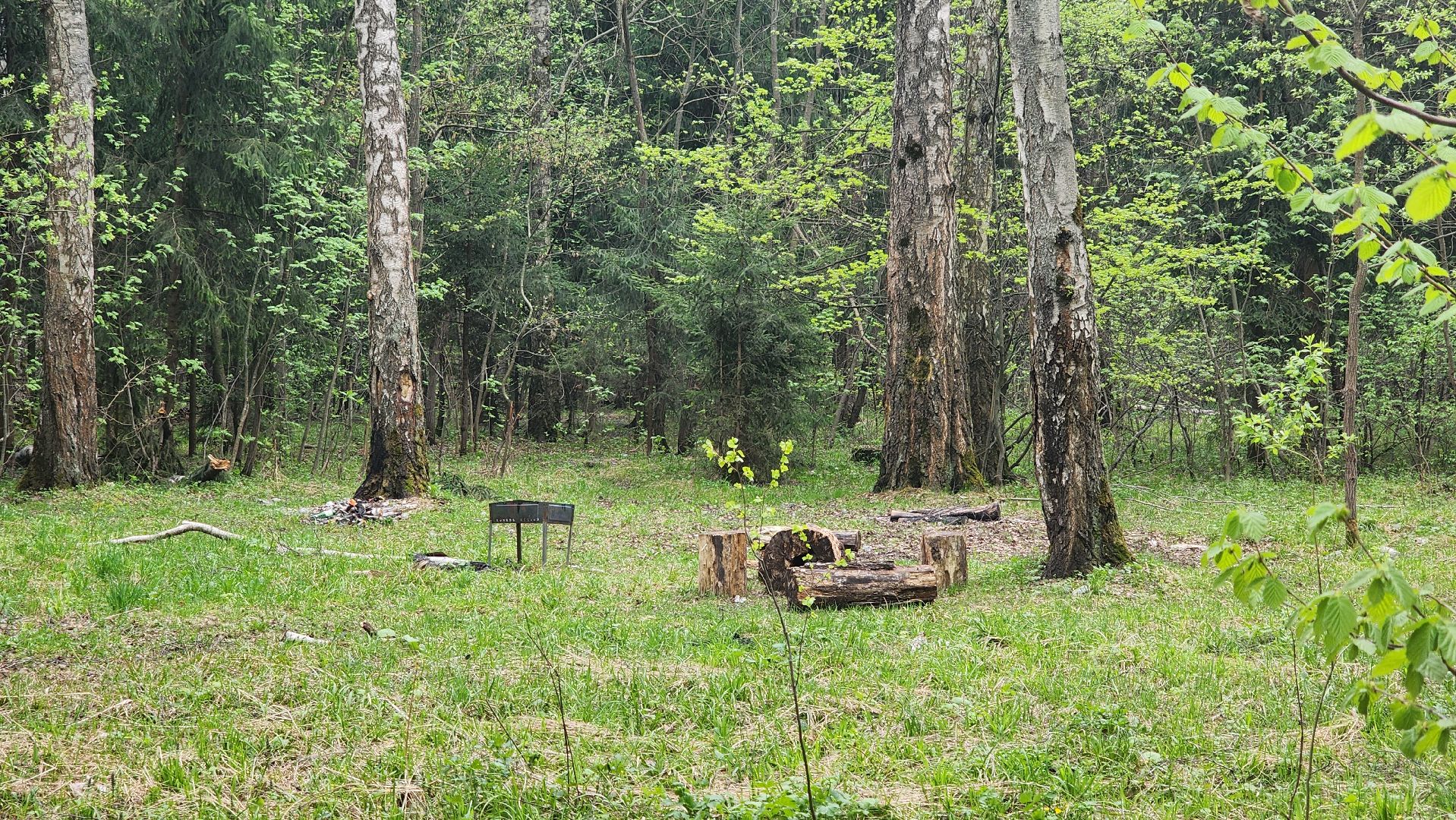 кашира, пожарная безопасность, огнеопасный период, штрафы, разведение костров в неположенных местах, березовая роща,
