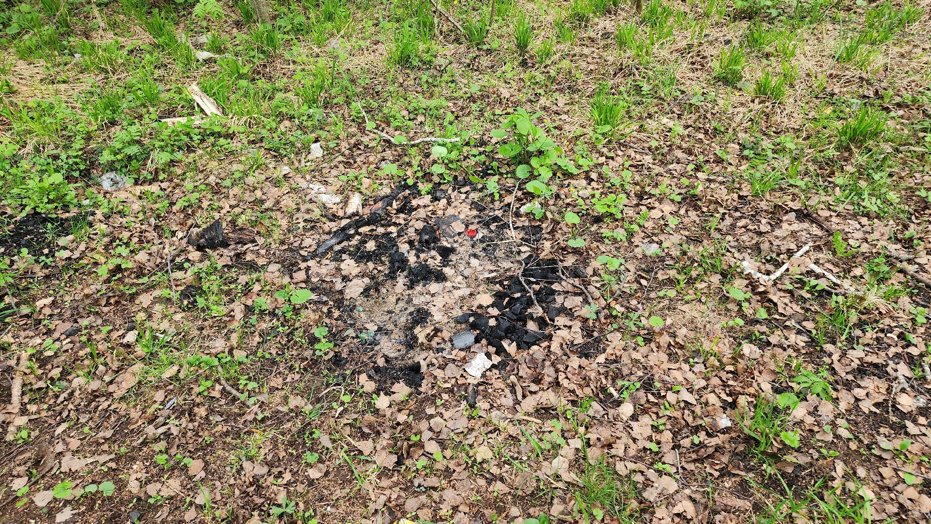 кашира, пожарная безопасность, огнеопасный период, штрафы, разведение костров в неположенных местах, березовая роща,