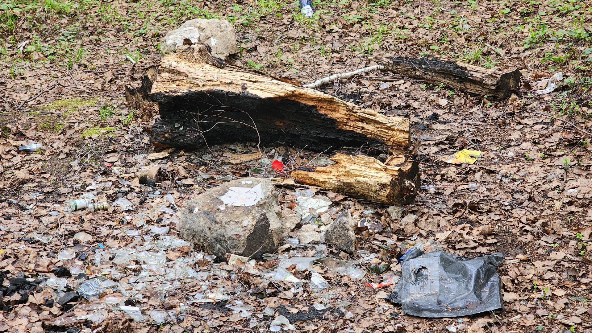 кашира, пожарная безопасность, огнеопасный период, штрафы, разведение костров в неположенных местах, березовая роща,